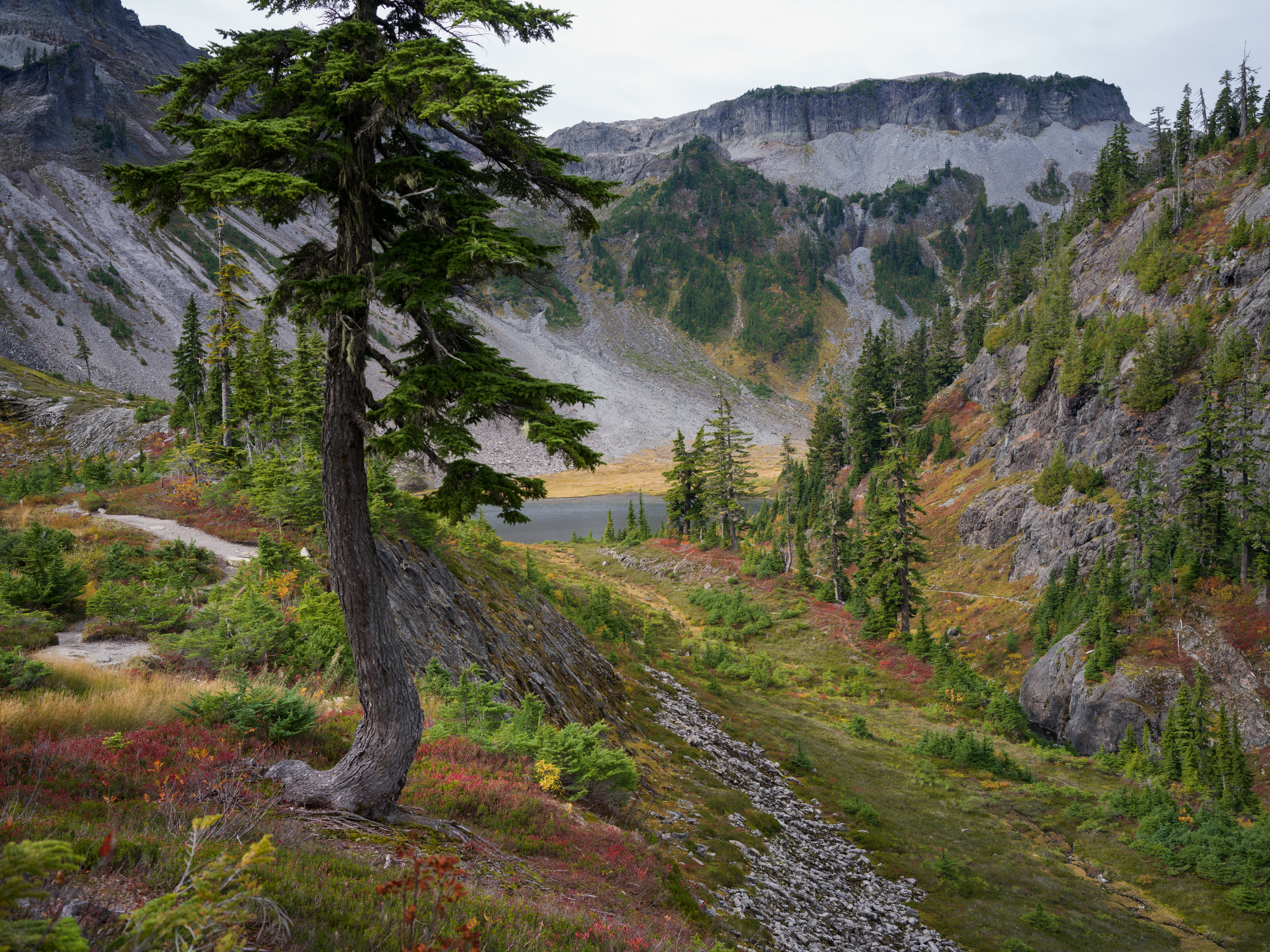 Mount Baker photo 1 by Bowen Hou