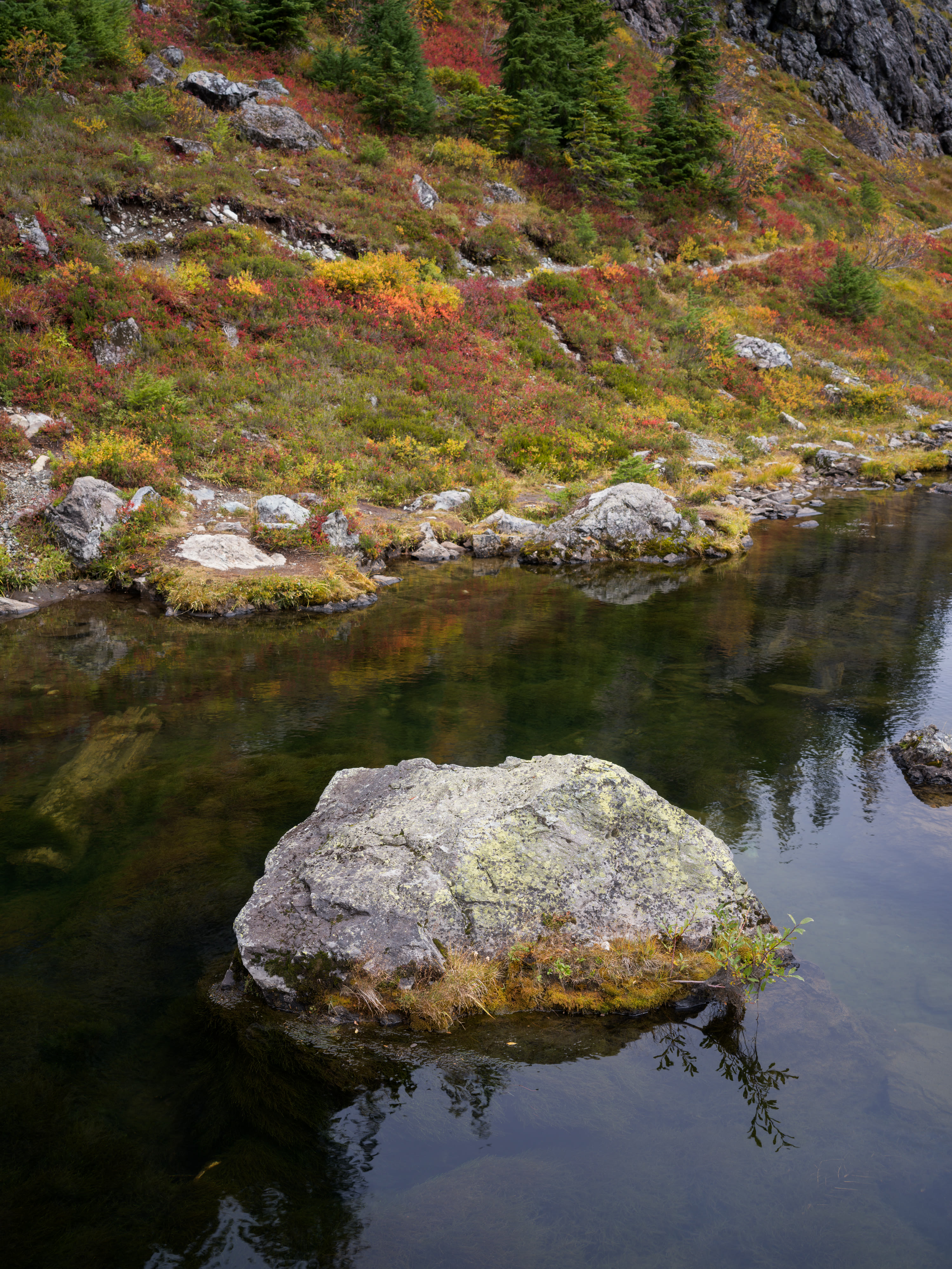 Mount Baker photo 10 by Bowen Hou