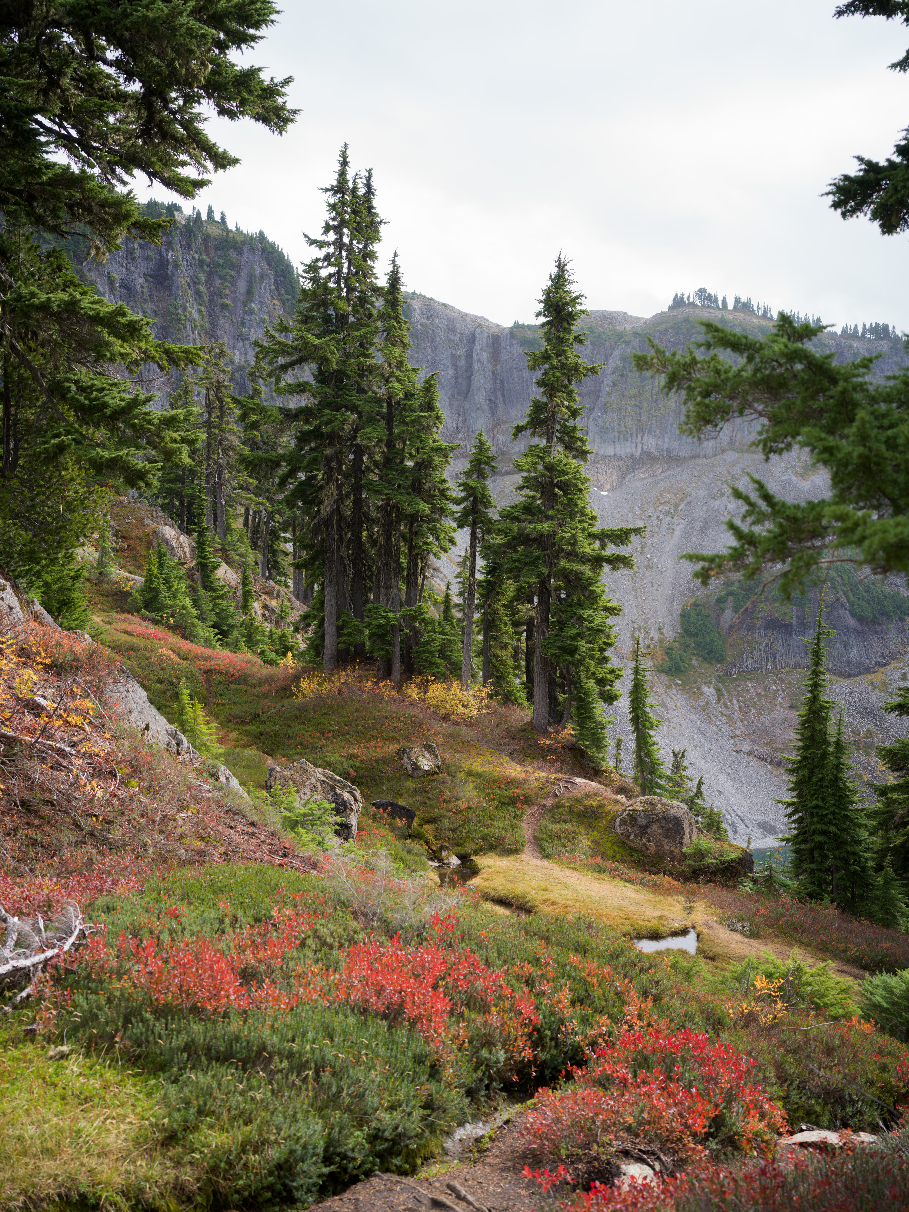 Mount Baker photo 14 by Bowen Hou