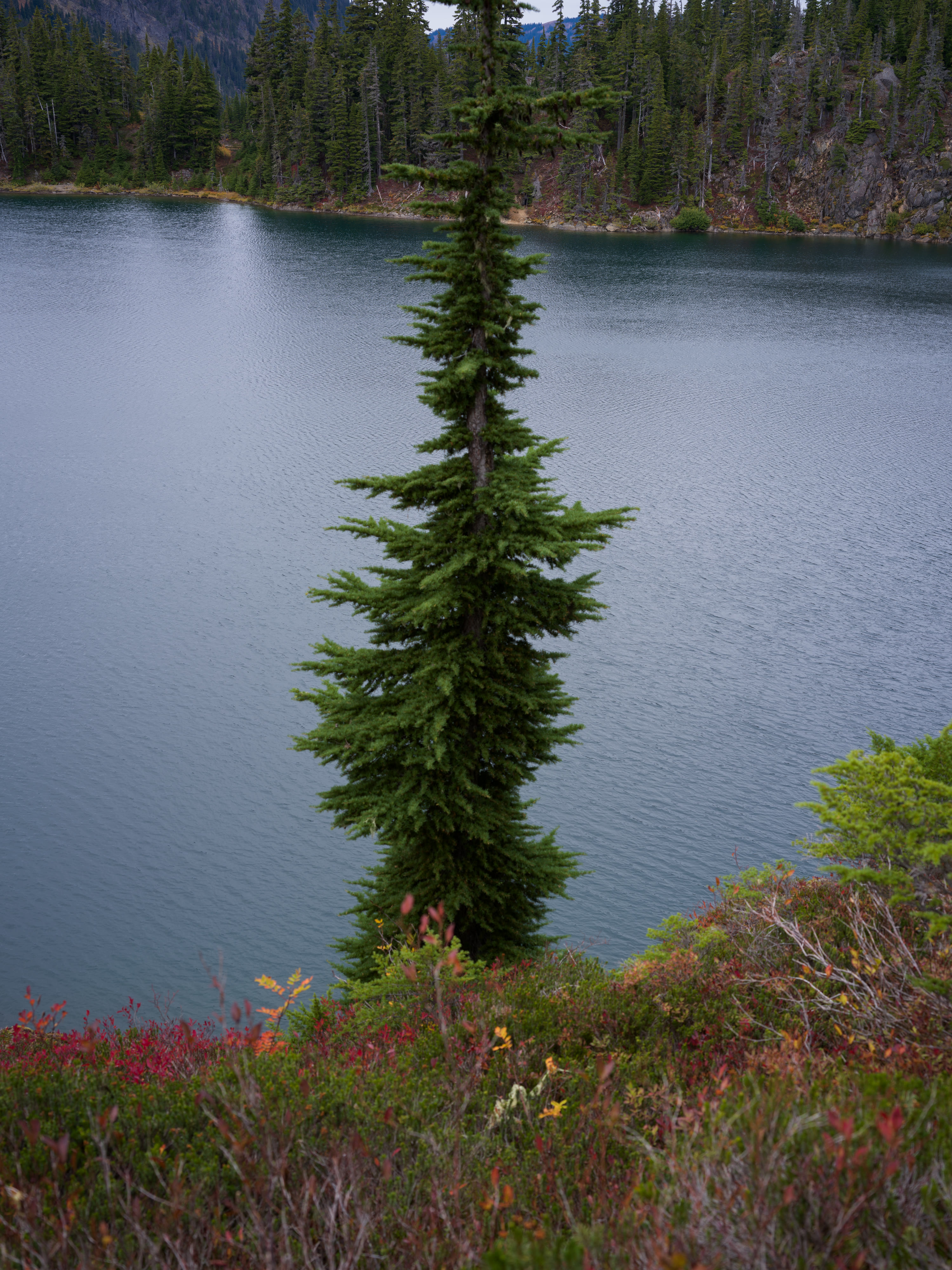 Mount Baker photo 16 by Bowen Hou