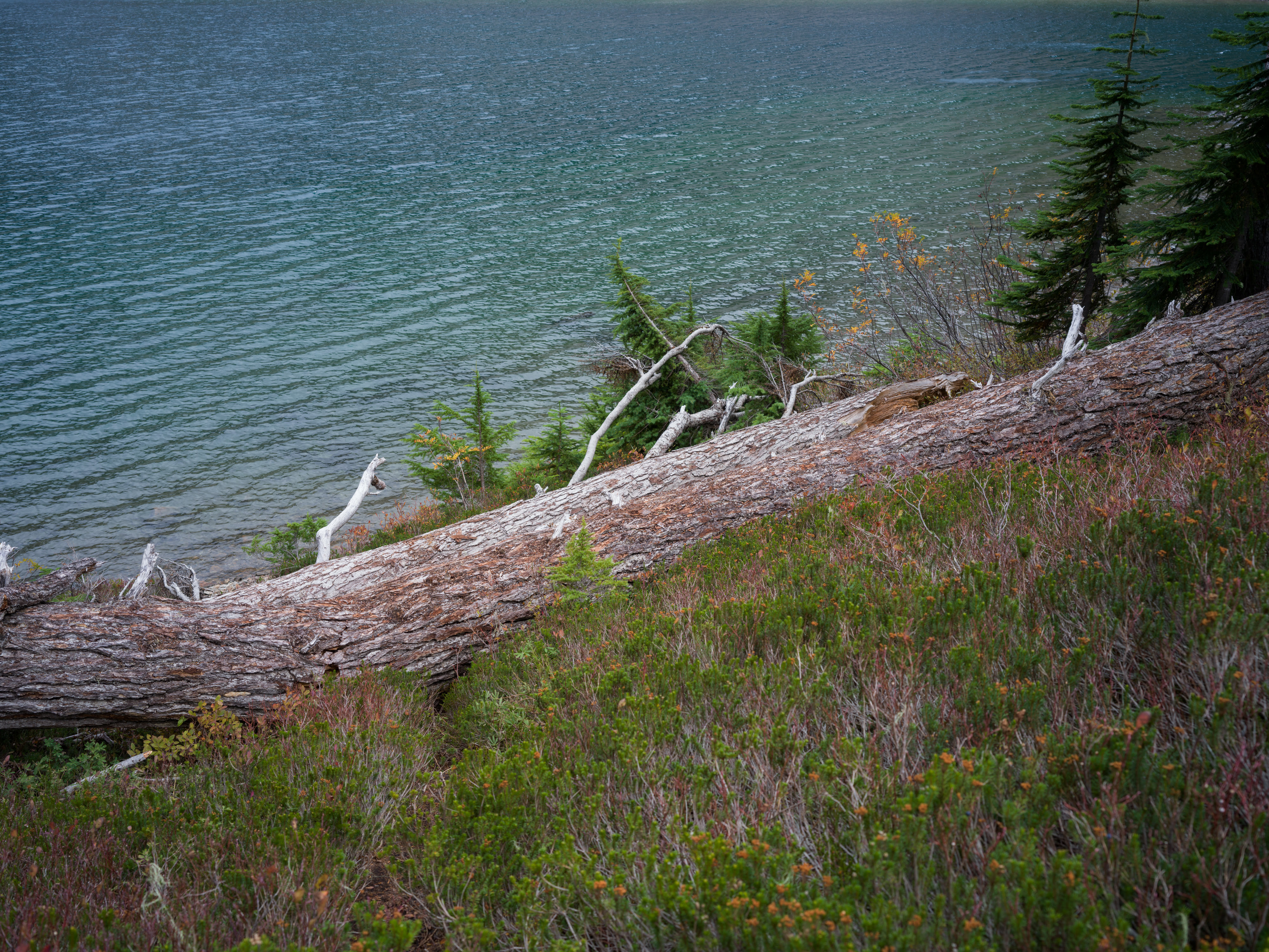 Mount Baker photo 18 by Bowen Hou