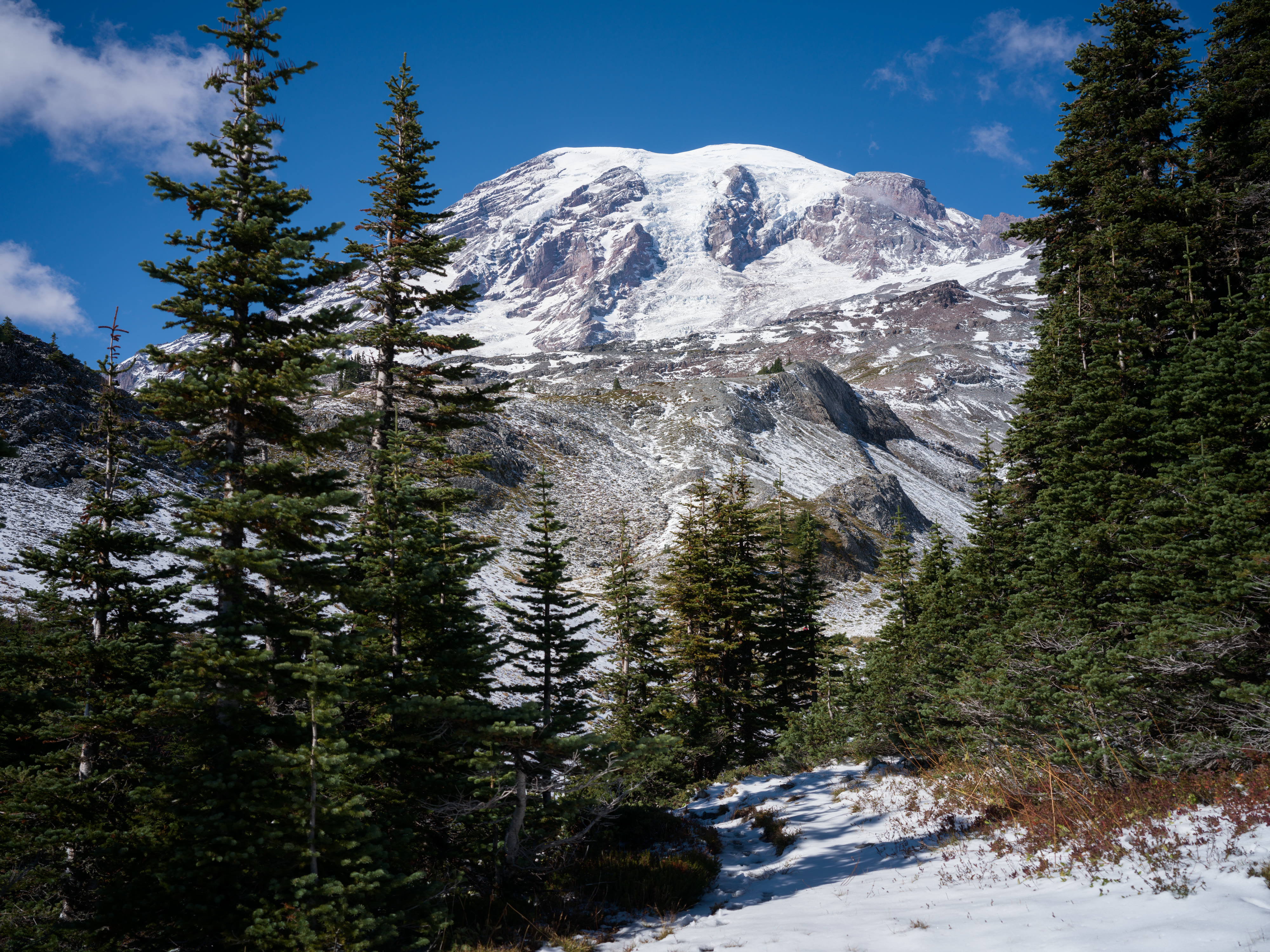 Mount Rainier NP 2026 photo 5 by Bowen Hou