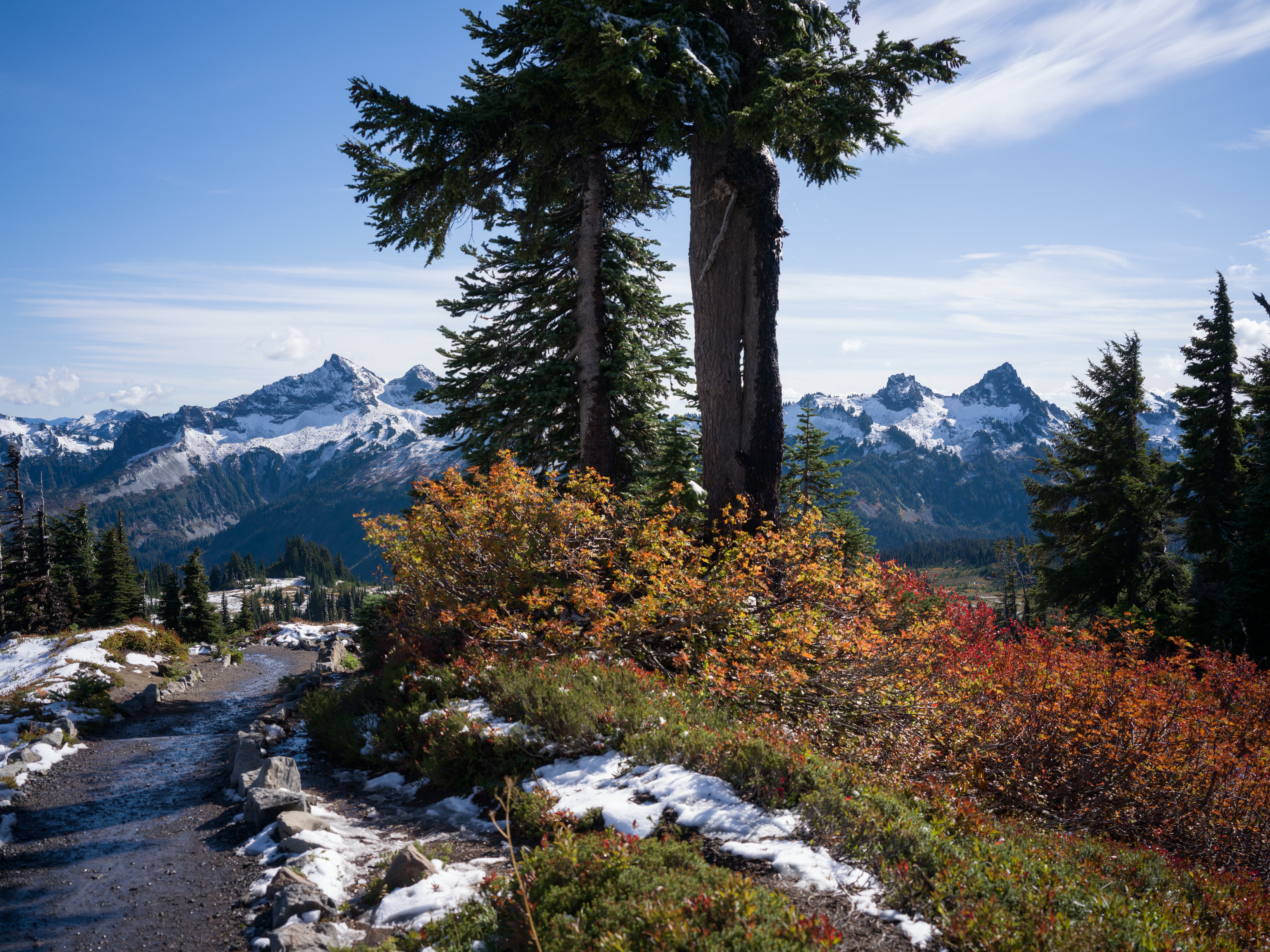 Mount Rainier NP 2026 photo 6 by Bowen Hou