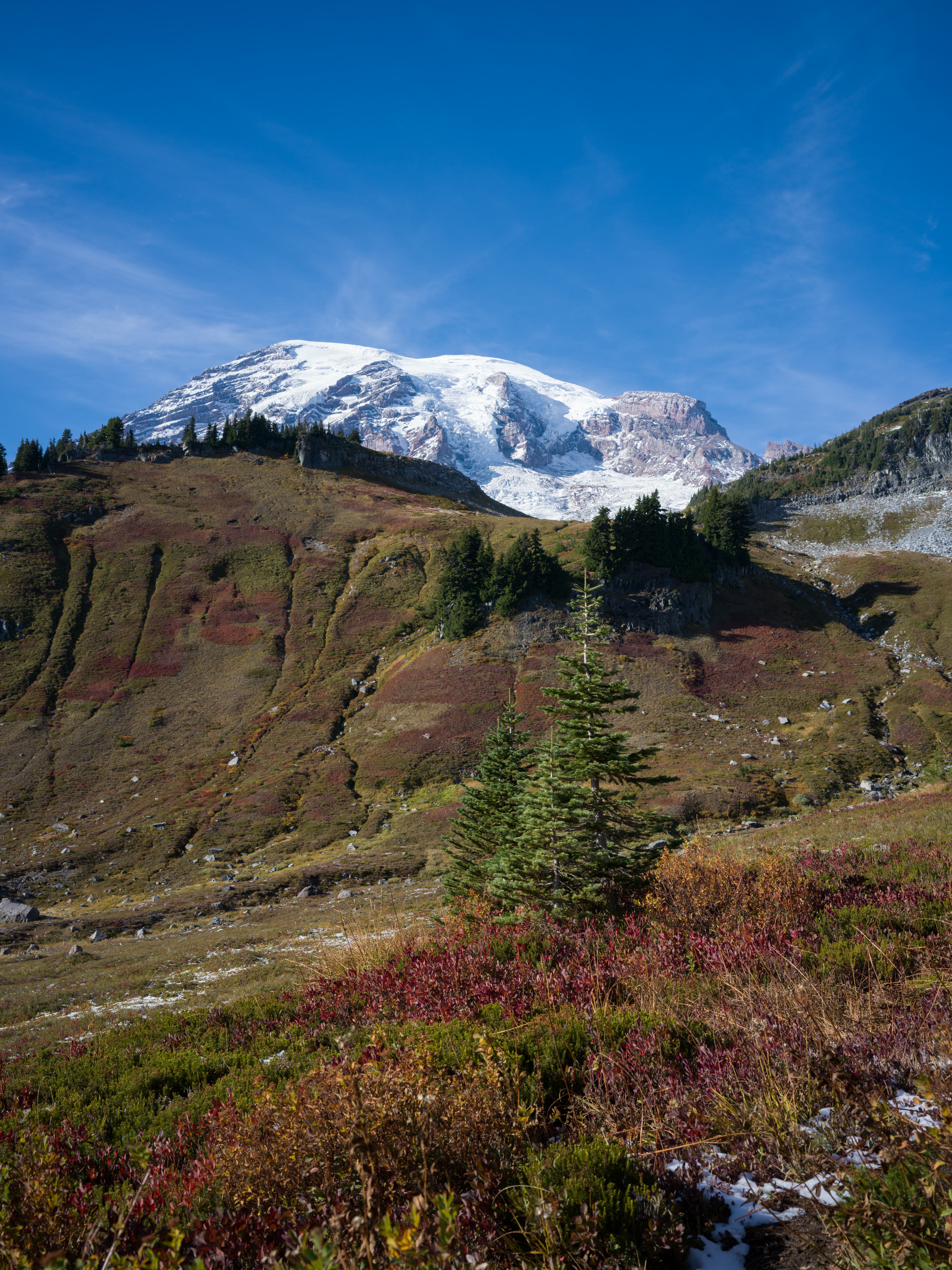 Mount Rainier NP 2026 photo 7 by Bowen Hou