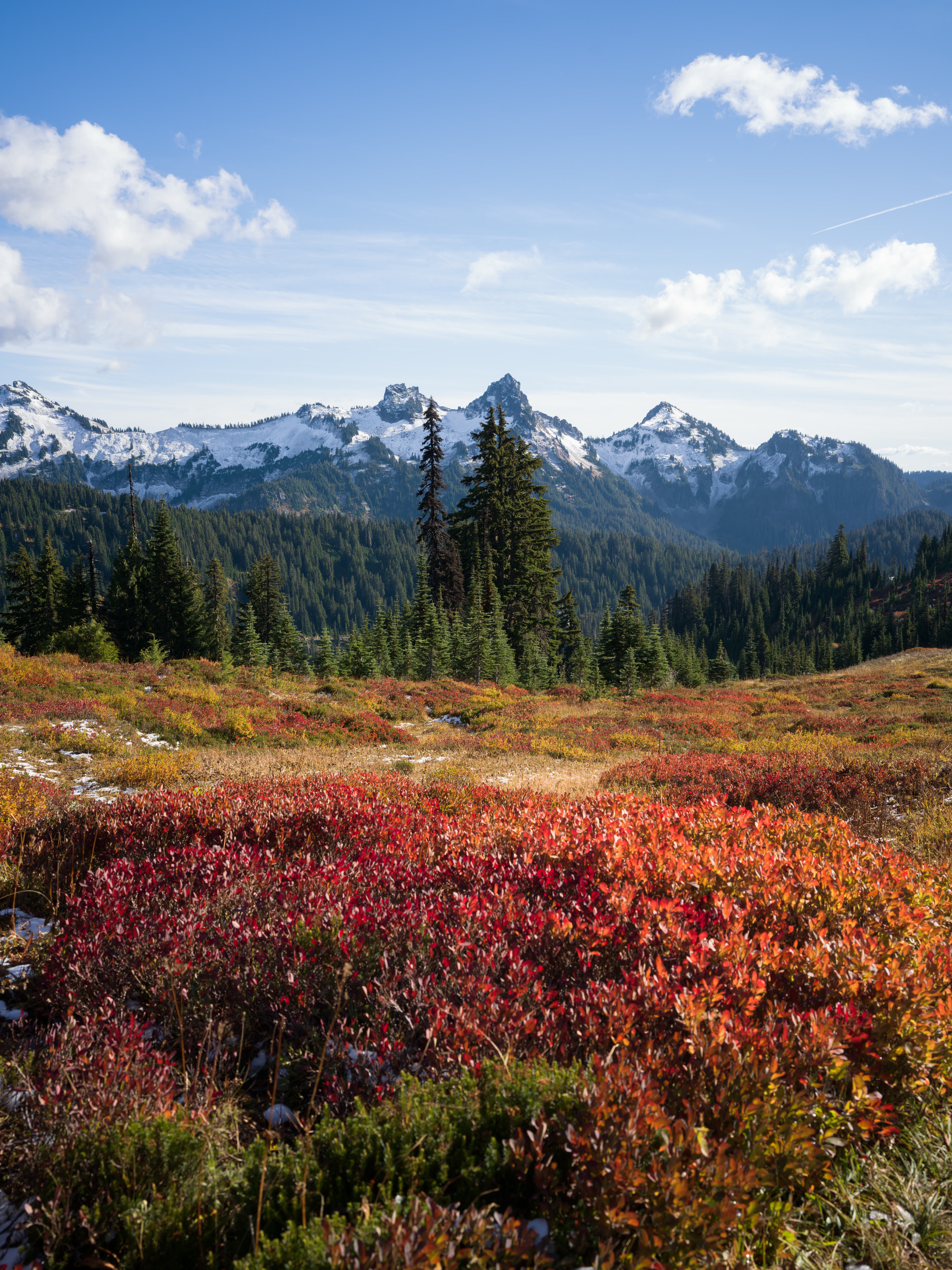 Mount Rainier NP 2026 photo 8 by Bowen Hou
