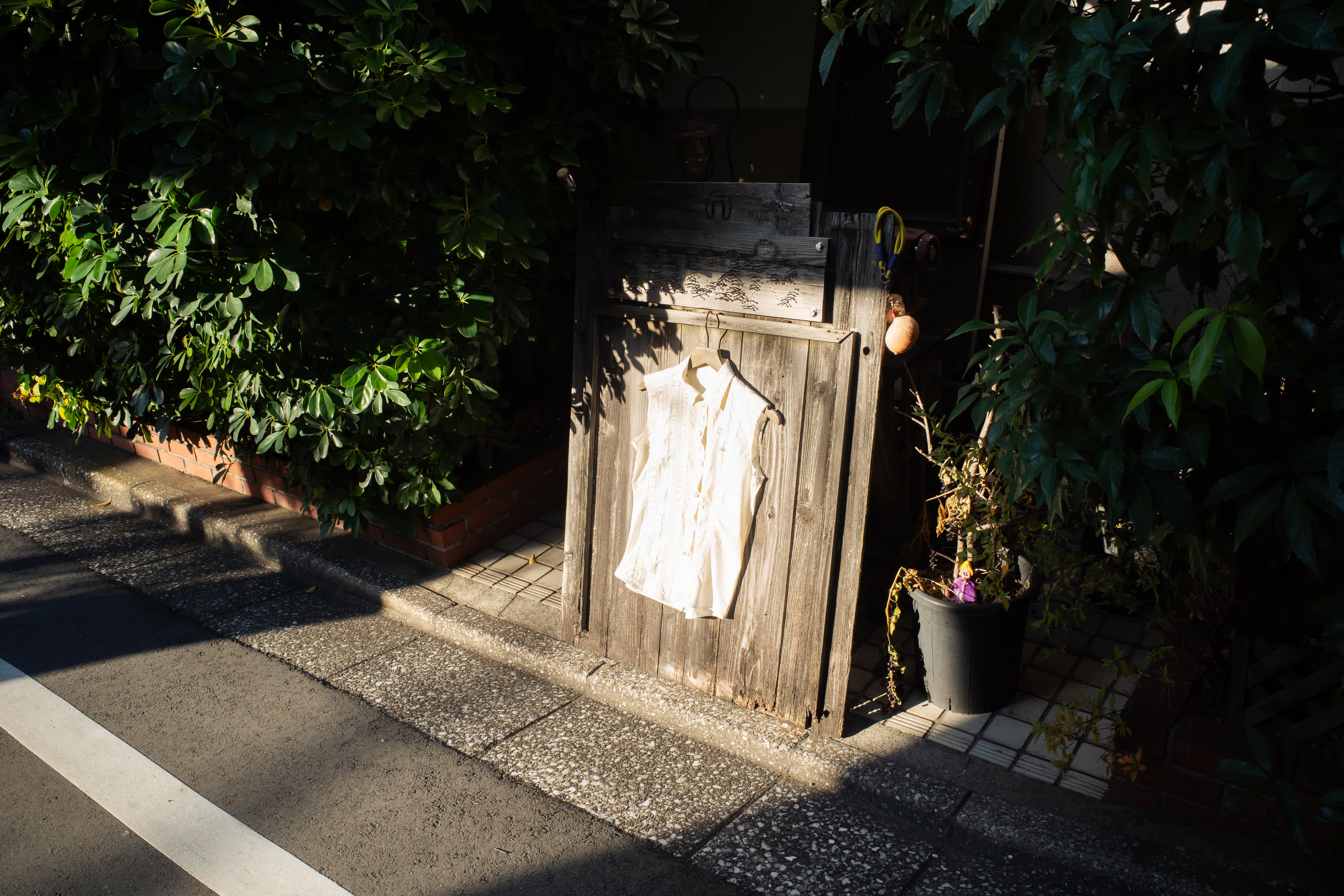 Tokyo 2025 photo 6 by Bowen Hou