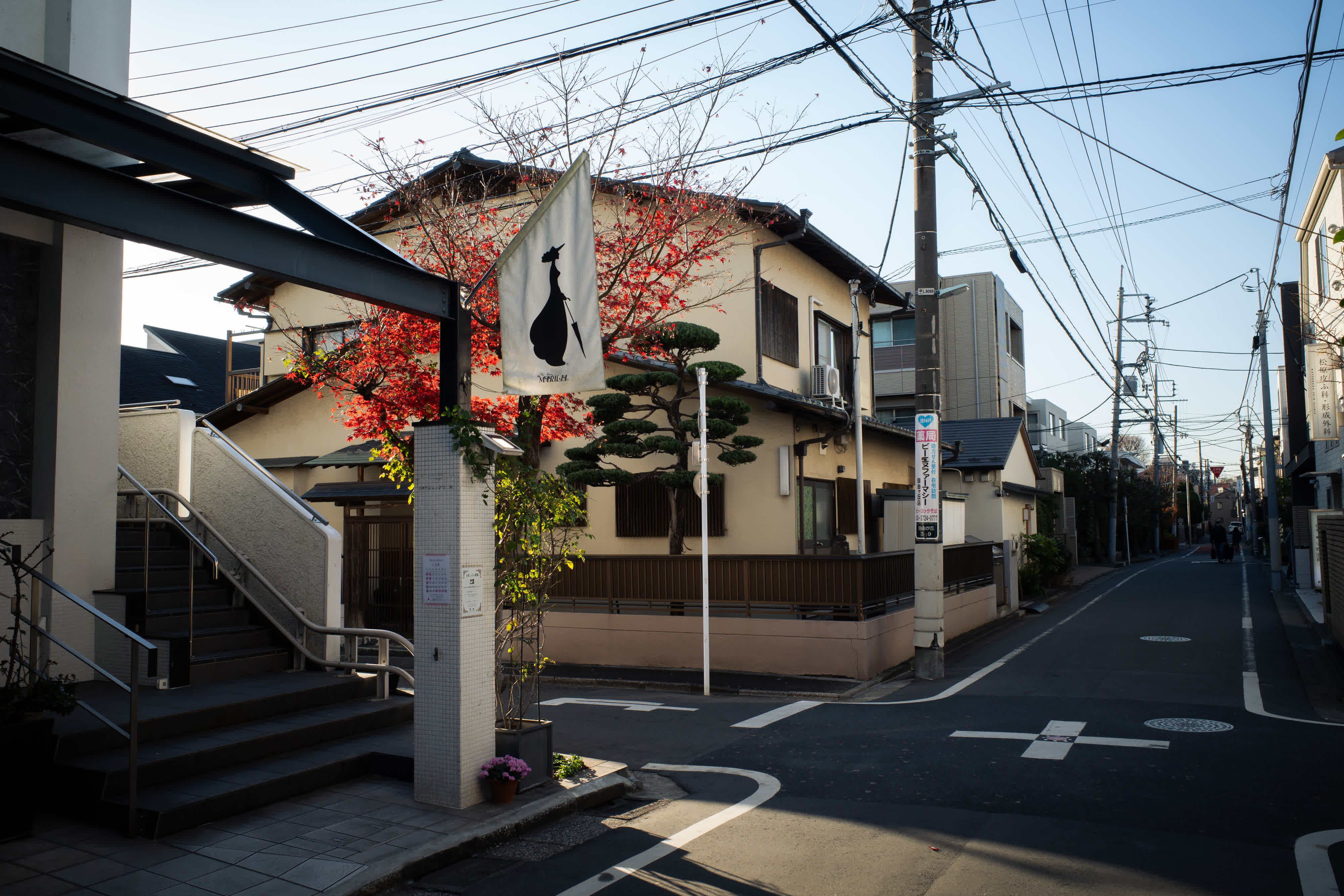 Tokyo 2025 photo 7 by Bowen Hou