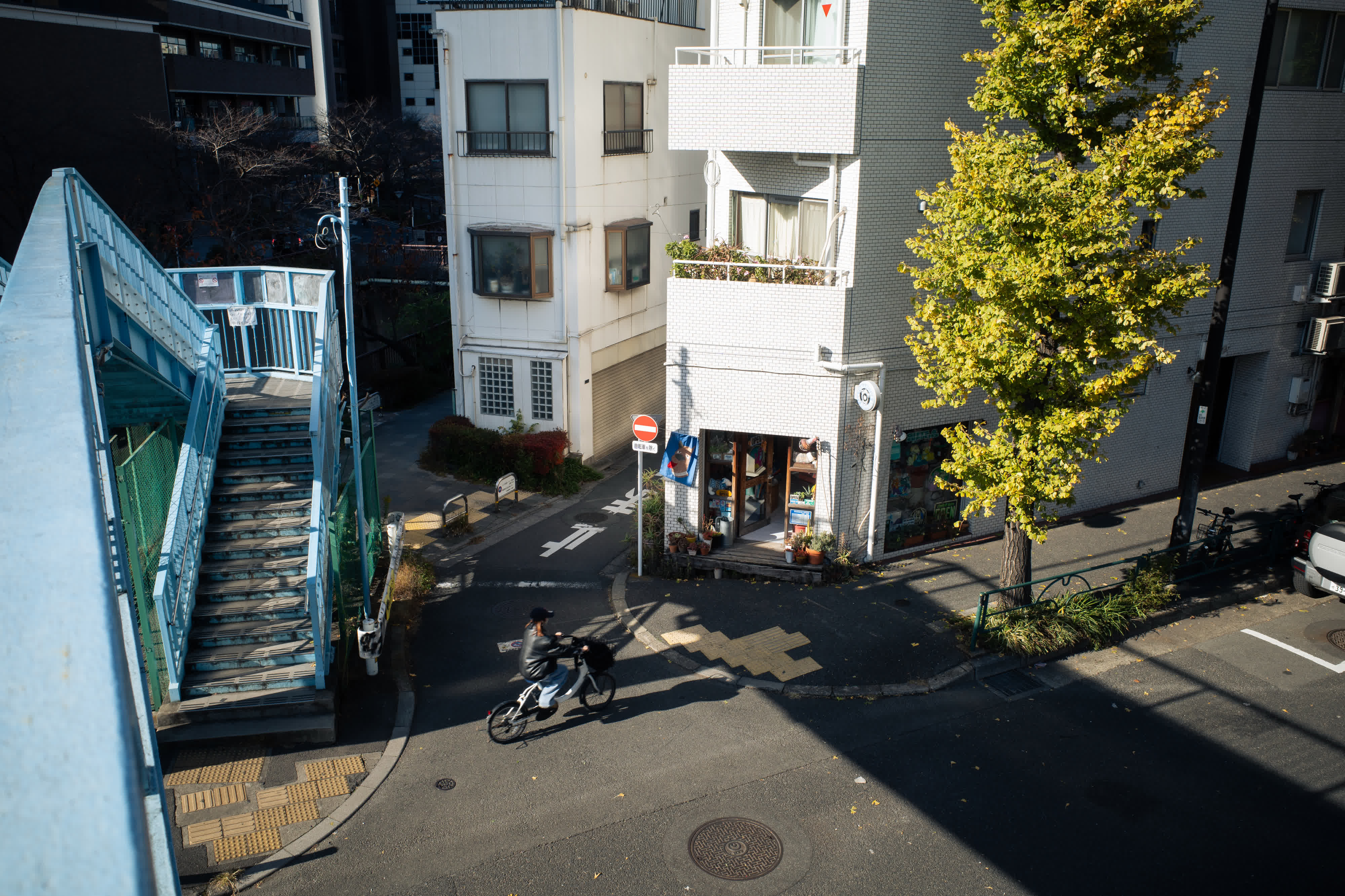 Tokyo 2025 photo 16 by Bowen Hou