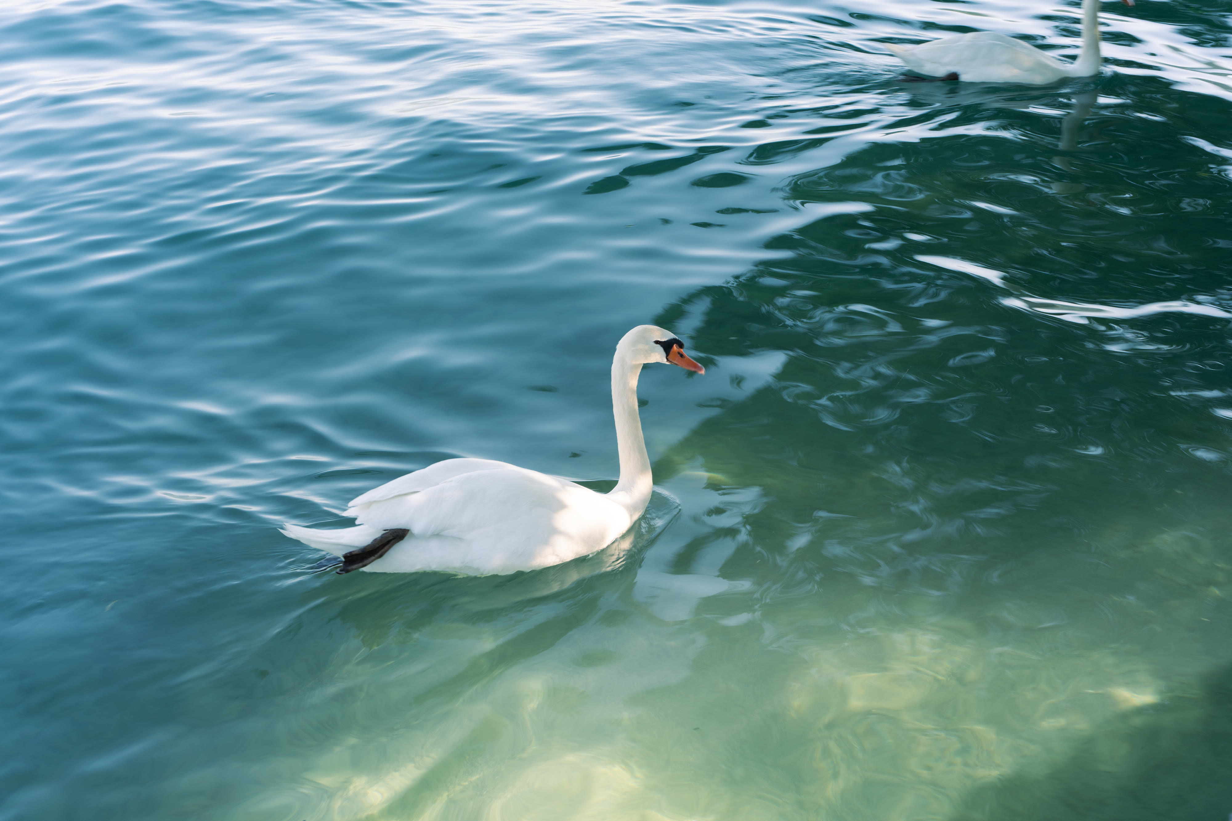 Annecy photo 1 by Bowen Hou