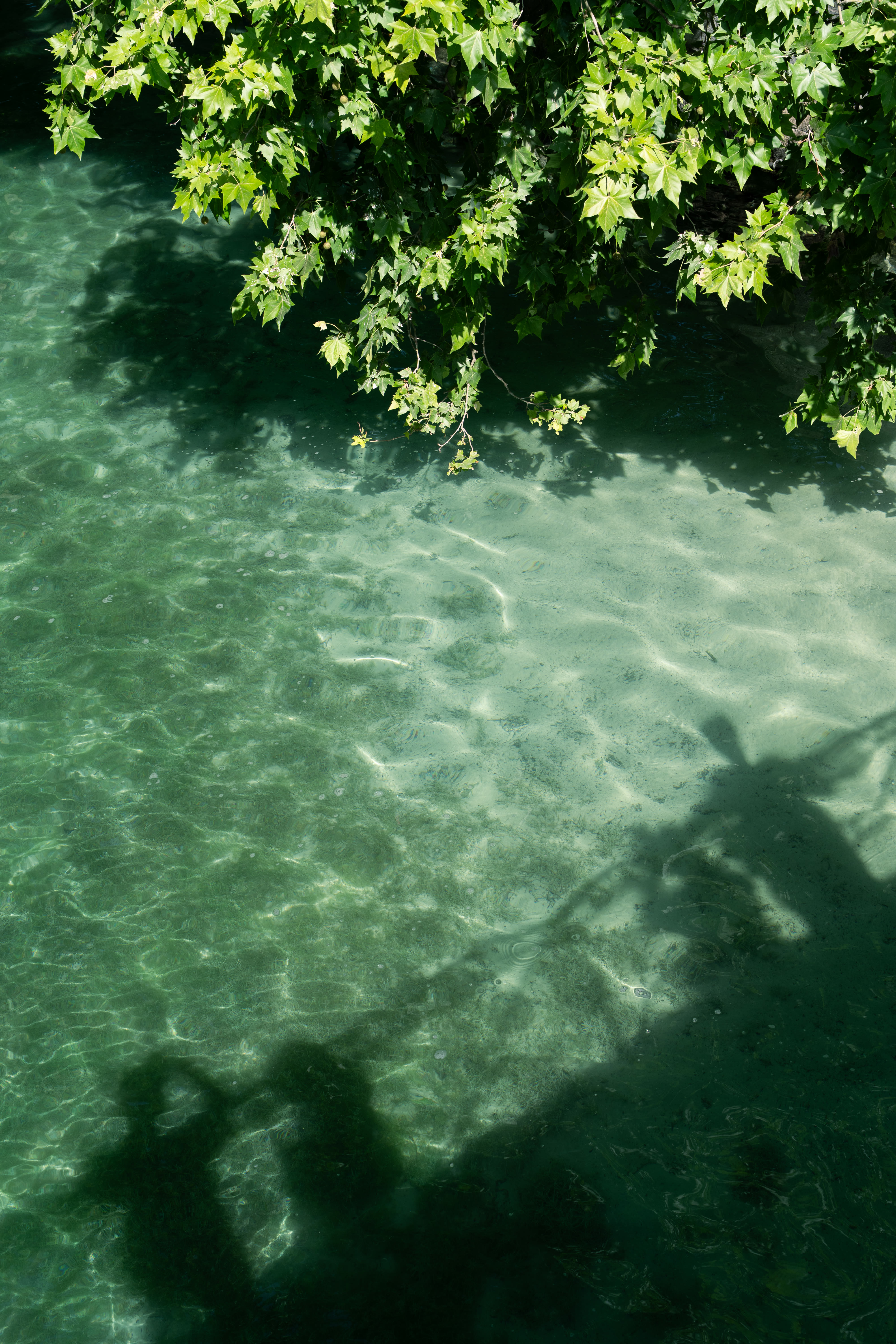Annecy photo 7 by Bowen Hou