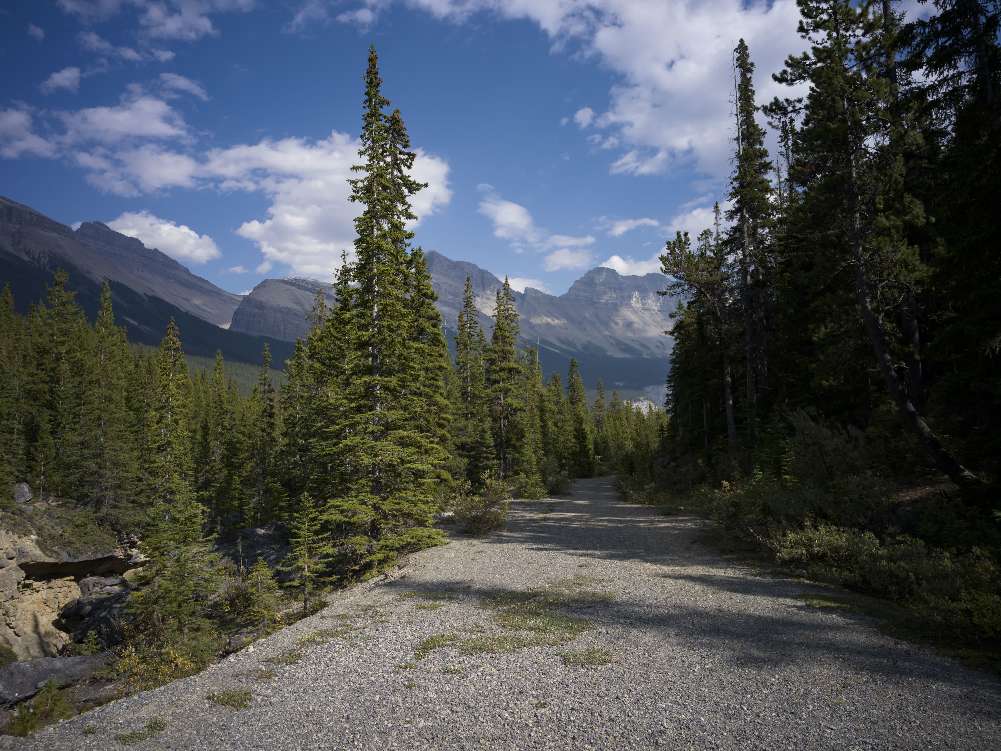 Banff NP 2025 photo 2 by Bowen Hou