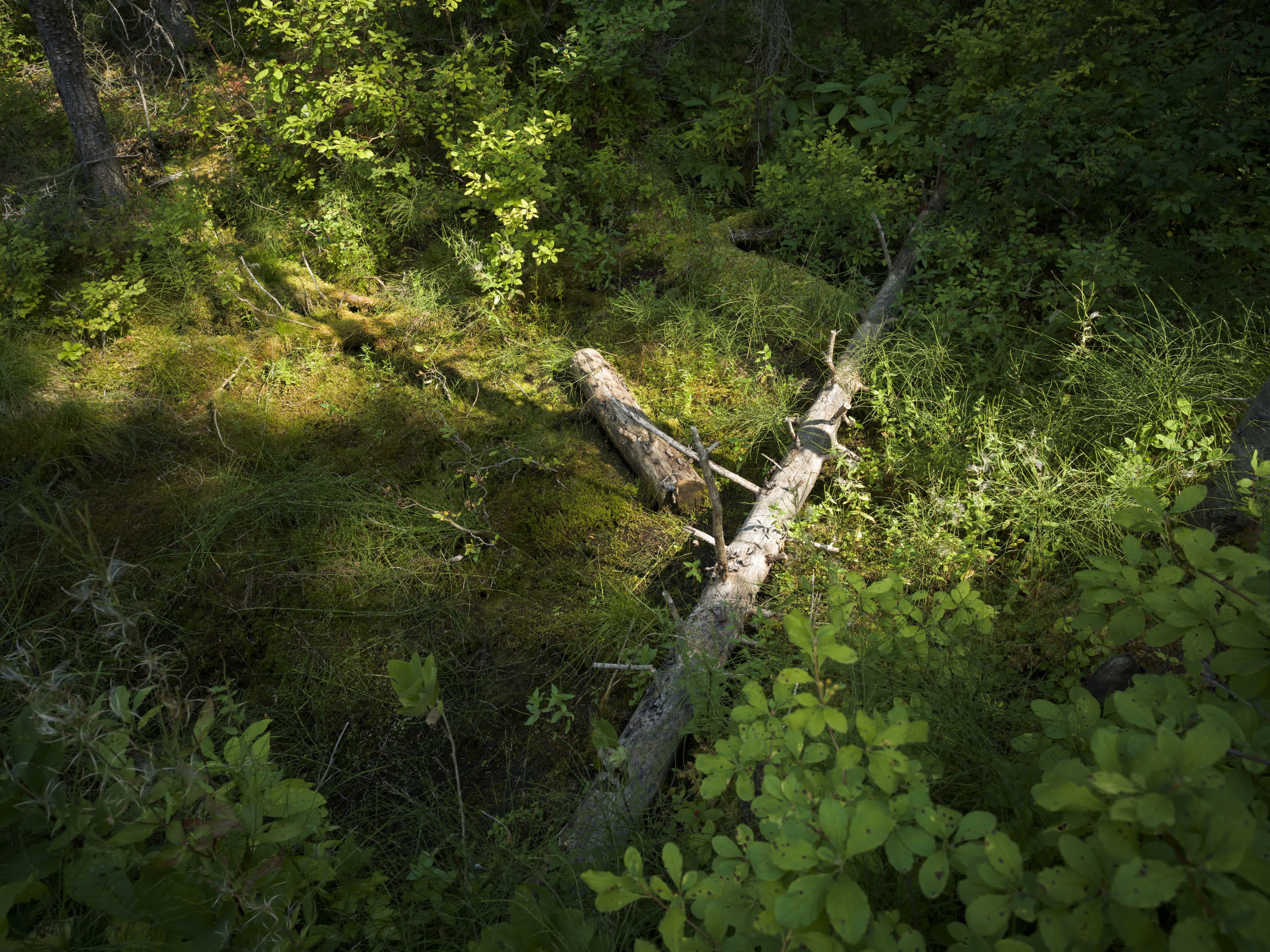 Banff NP 2025 photo 4 by Bowen Hou