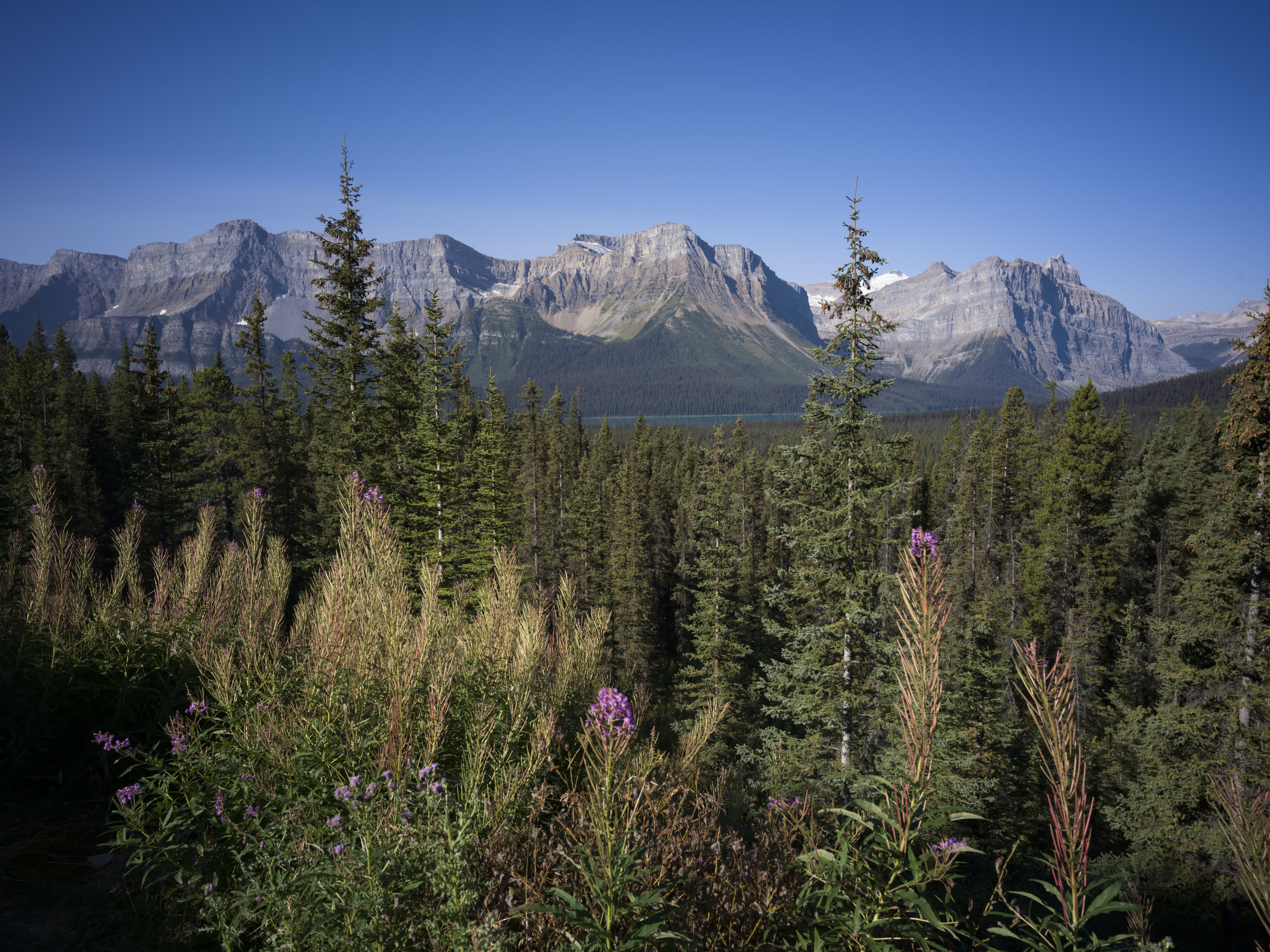 Banff NP 2025 photo 10 by Bowen Hou
