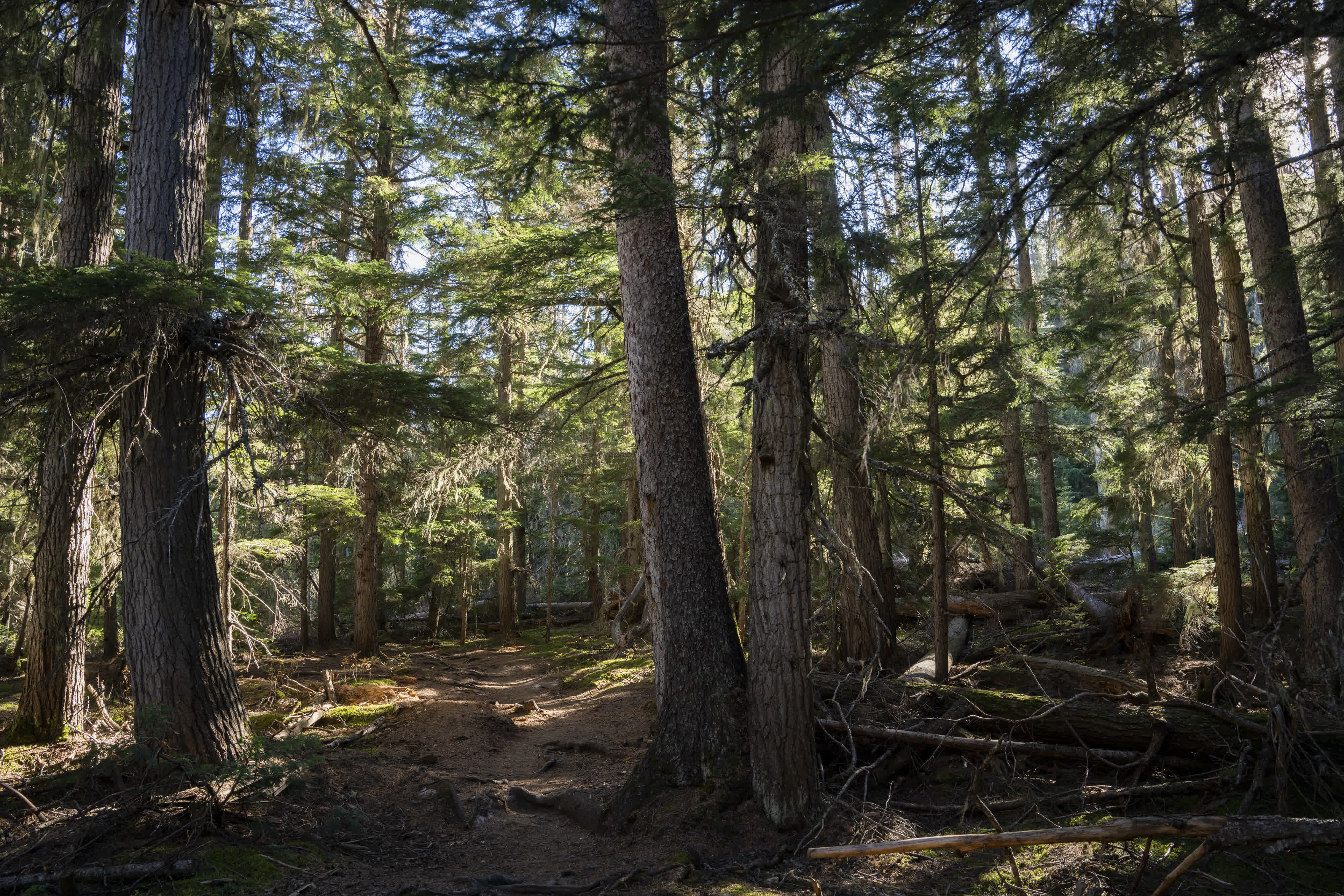 Banff NP 2022 photo 9 by Bowen Hou