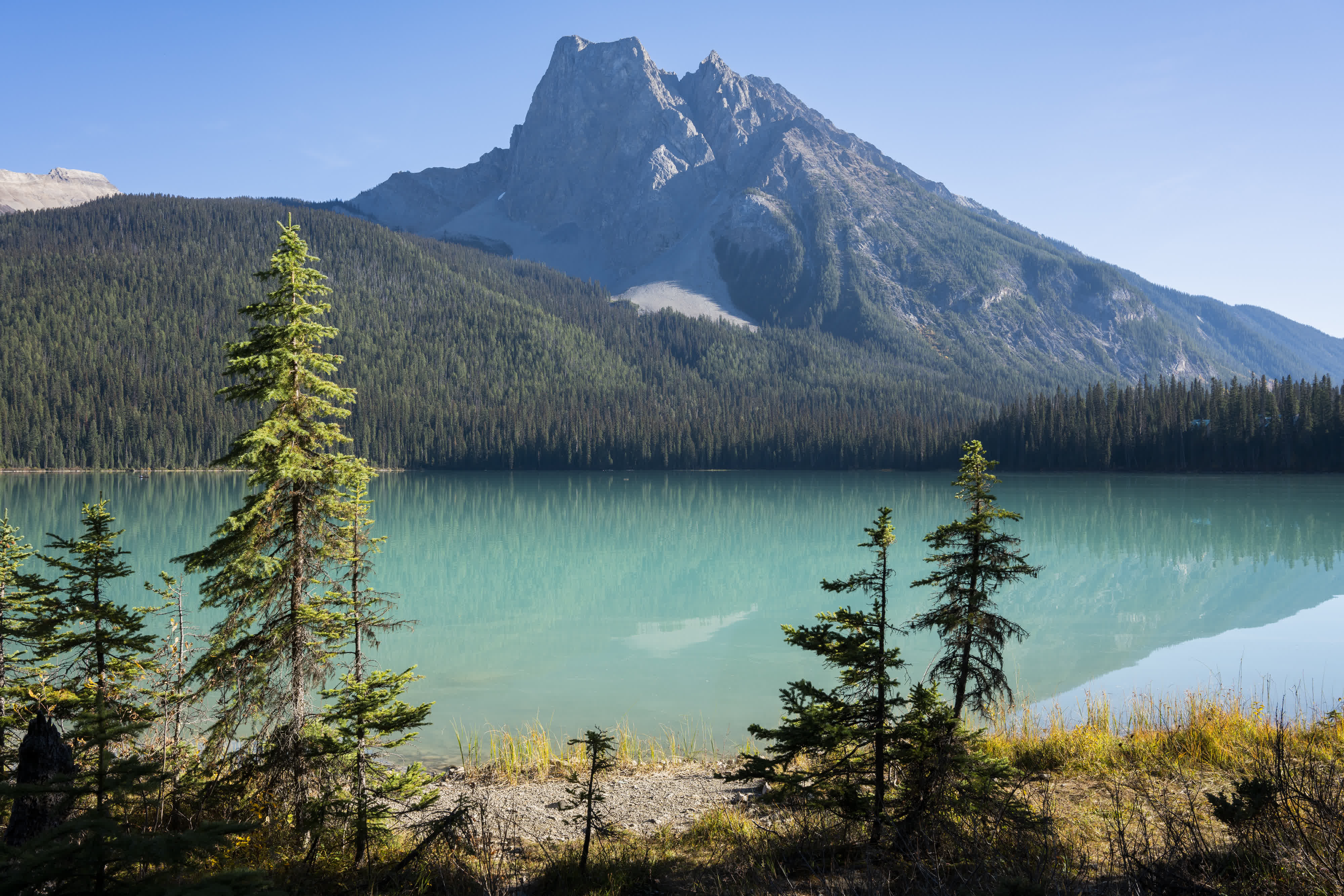 Banff NP 2022 photo 10 by Bowen Hou