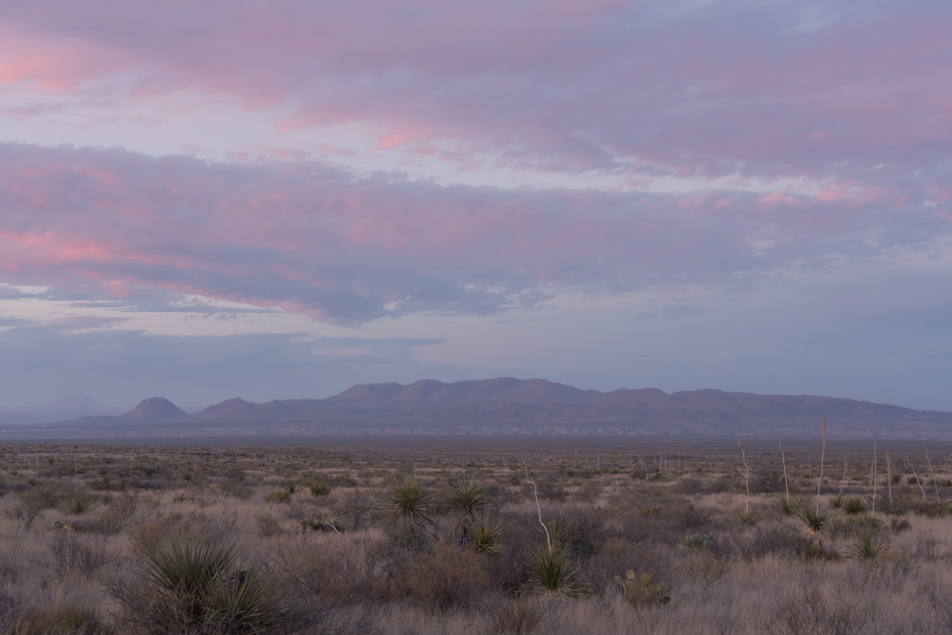 Big Bend NP 2020 photo 6 by Bowen Hou