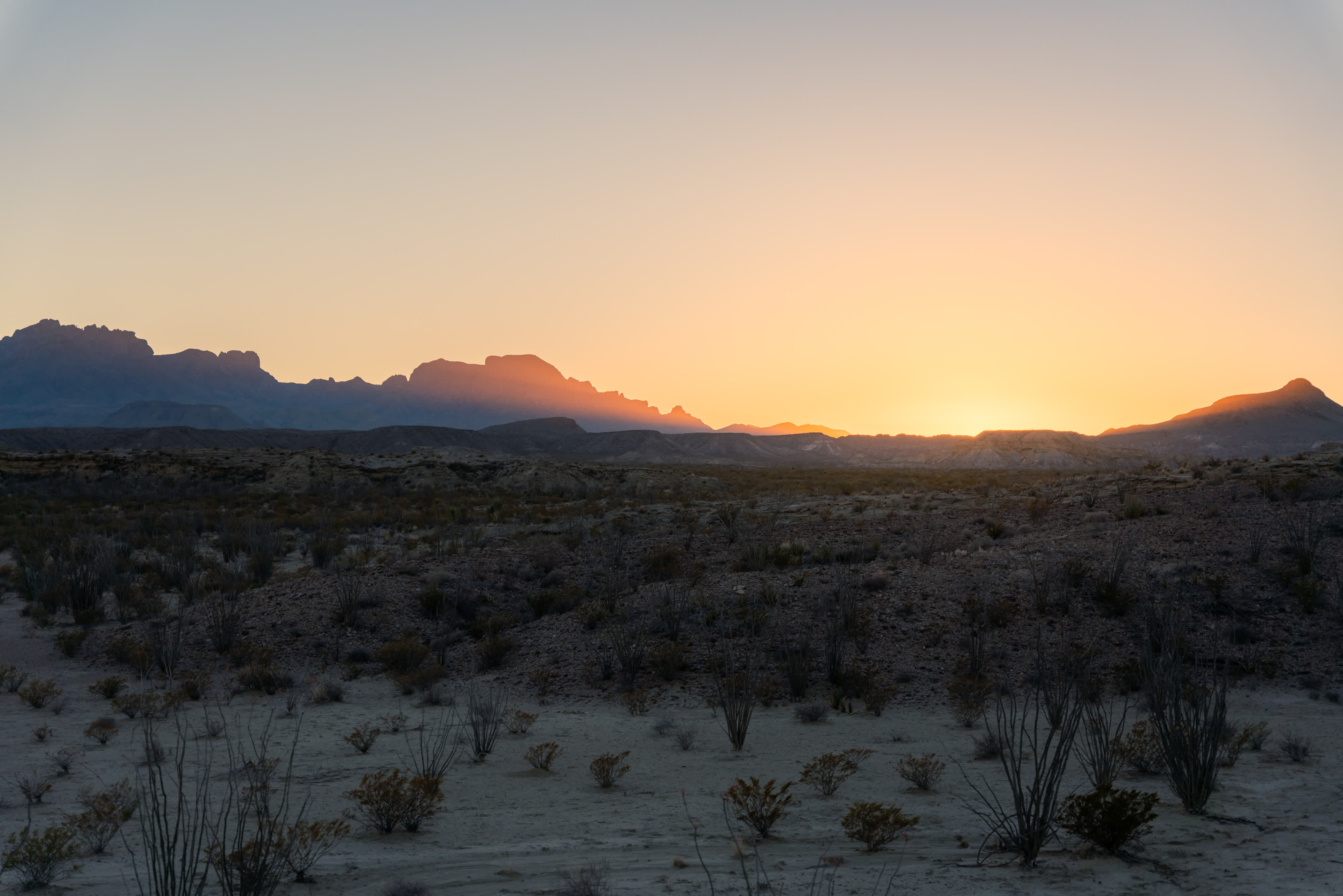 Big Bend NP 2020 photo 4 by Bowen Hou