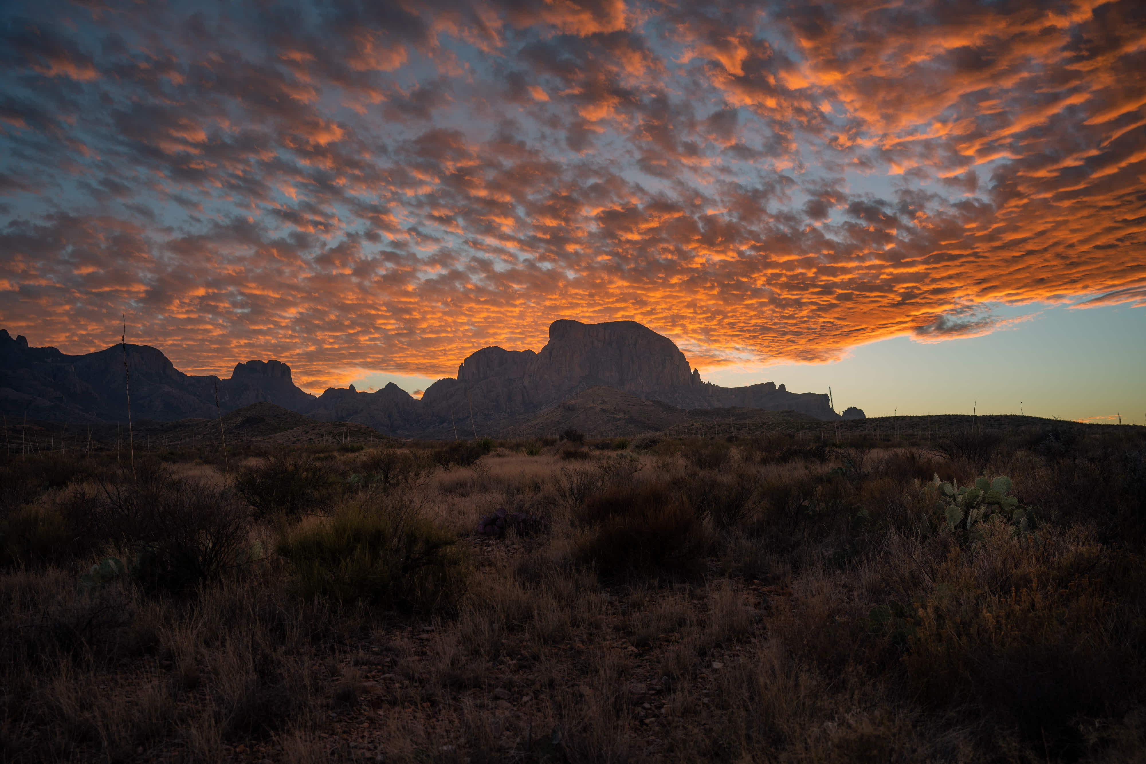 Big Bend NP 2020 photo 1 by Bowen Hou