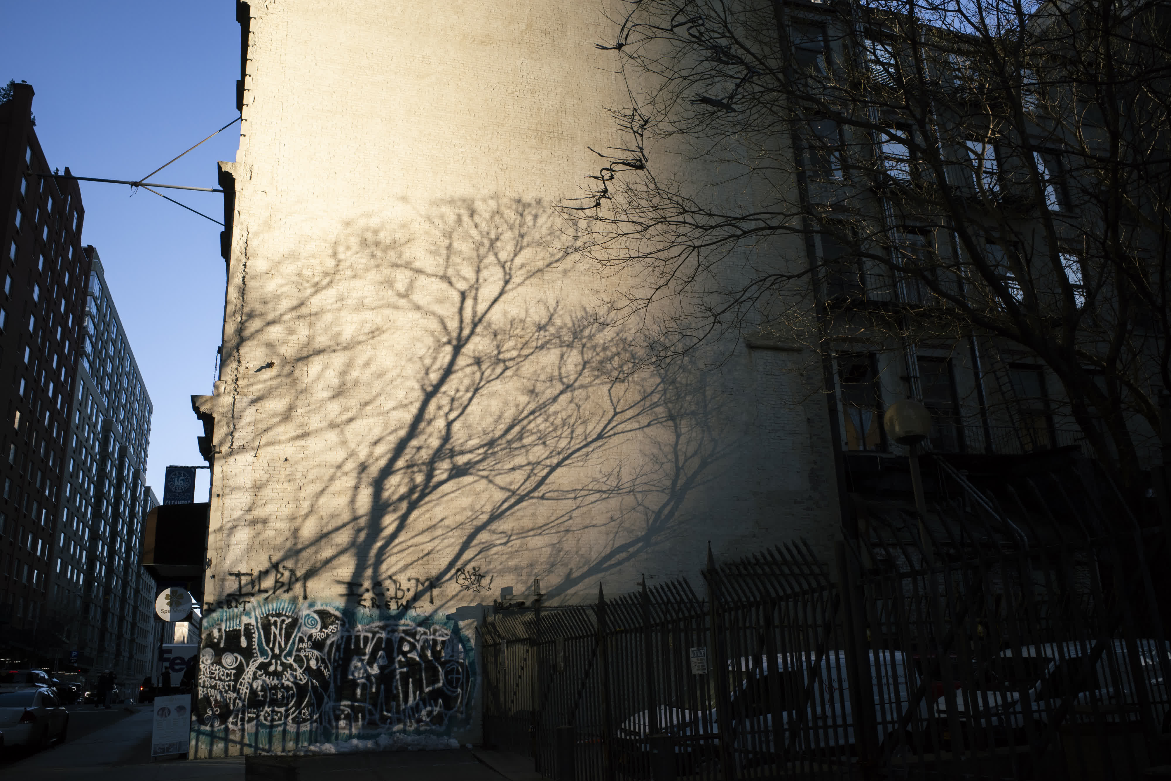 Brooklyn Heights photo 5 by Bowen Hou