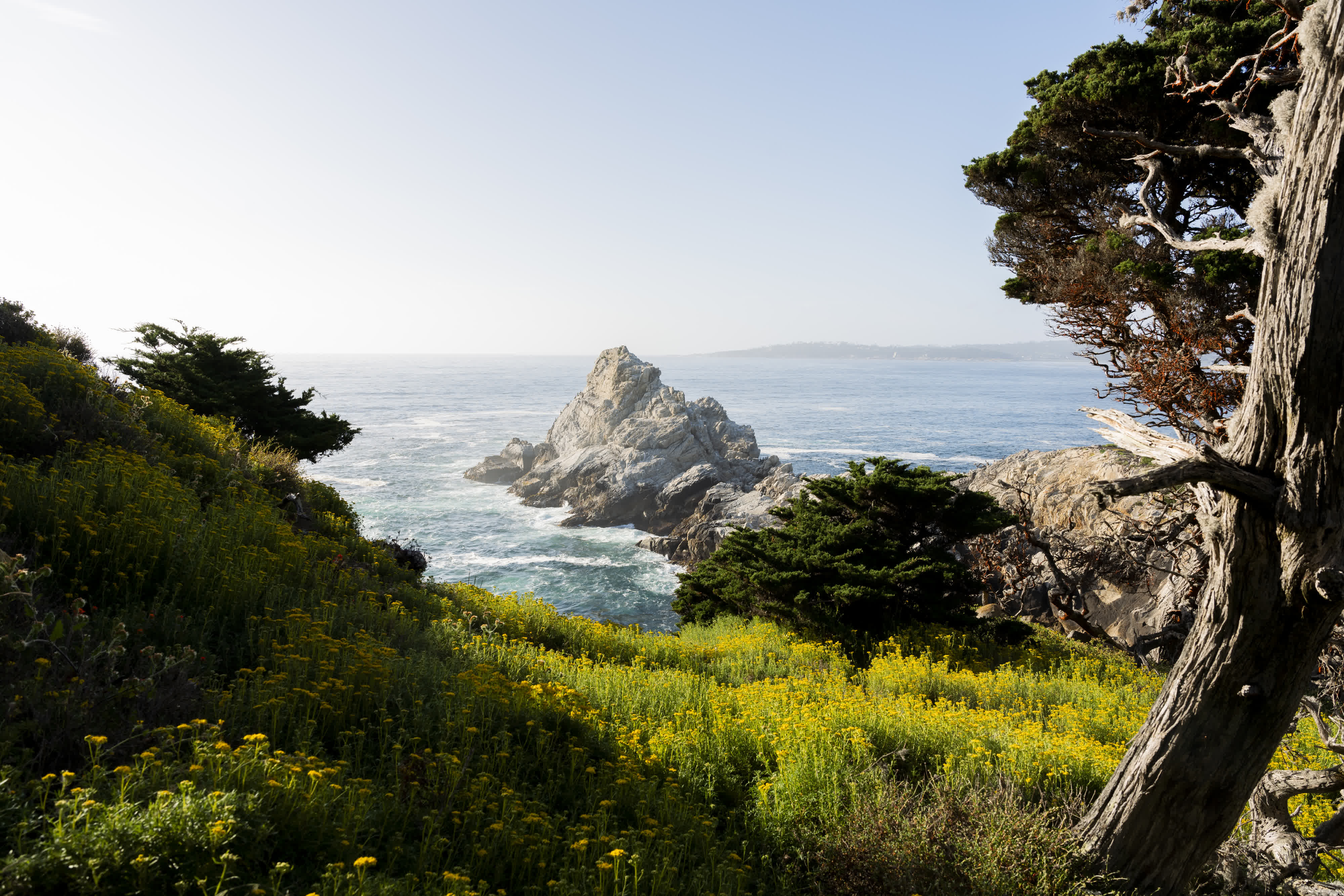 Monterey and US Route 1 photo 3 by Bowen Hou