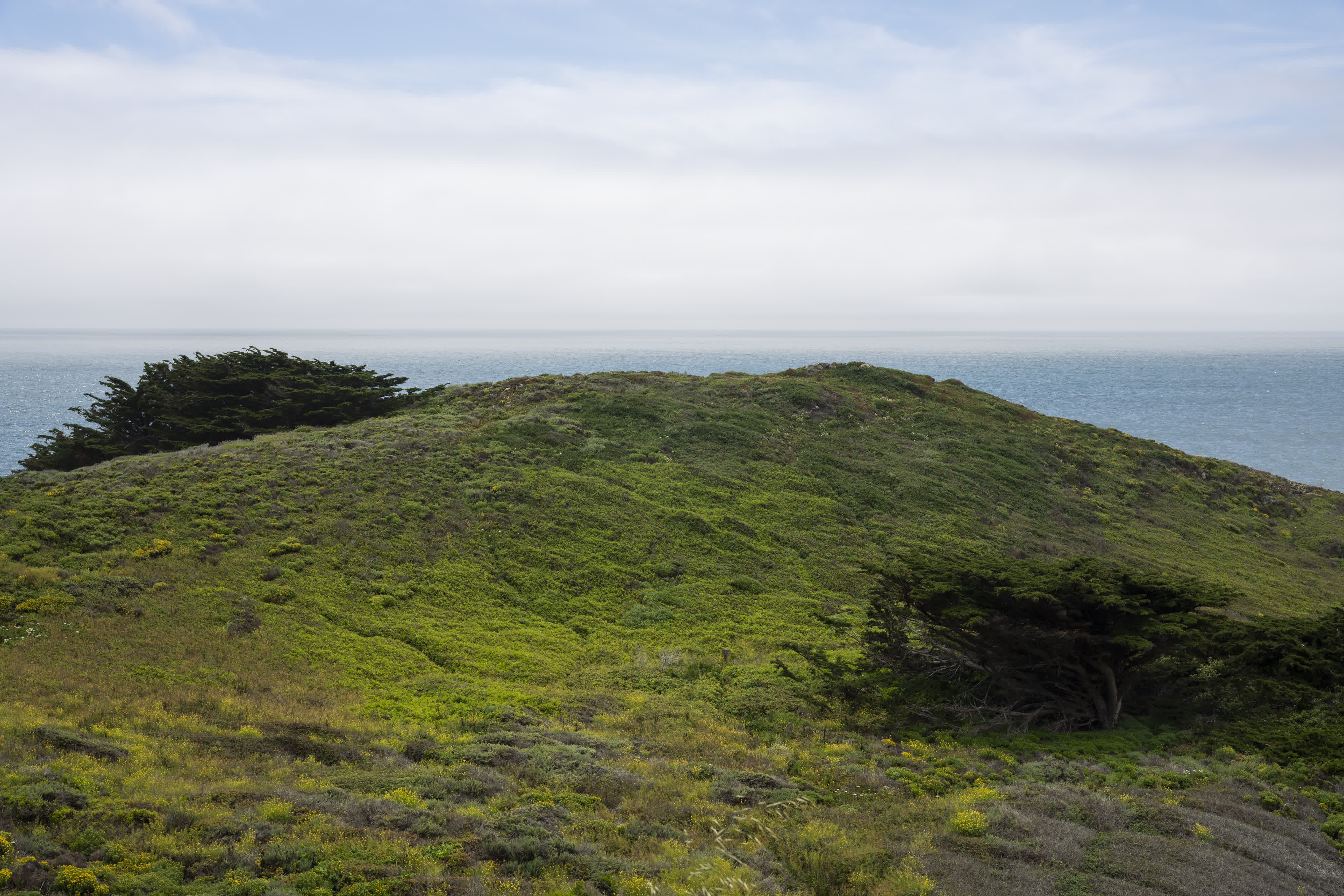 Monterey and US Route 1 photo 4 by Bowen Hou