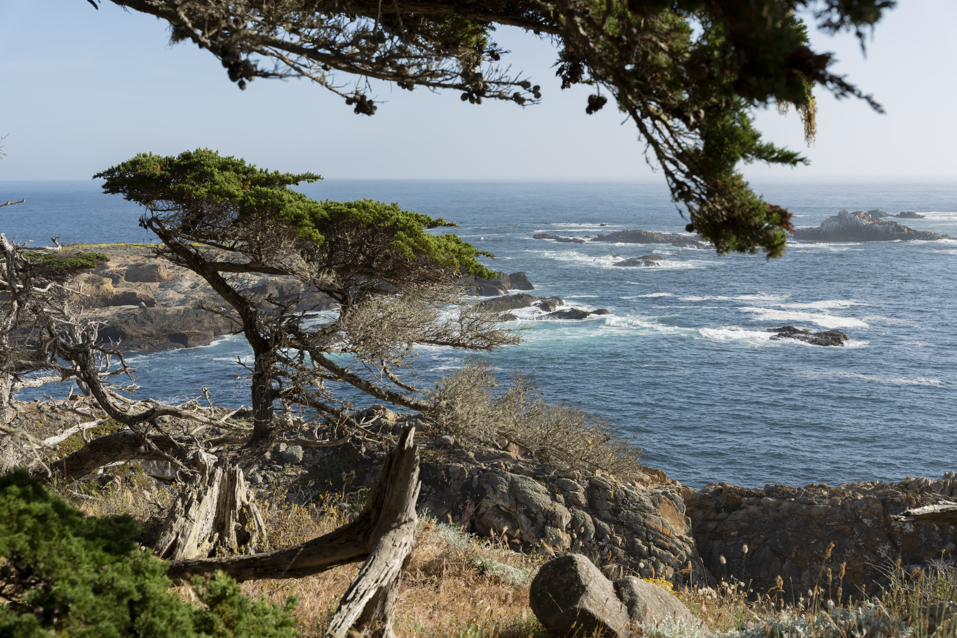 Monterey and US Route 1 photo 9 by Bowen Hou