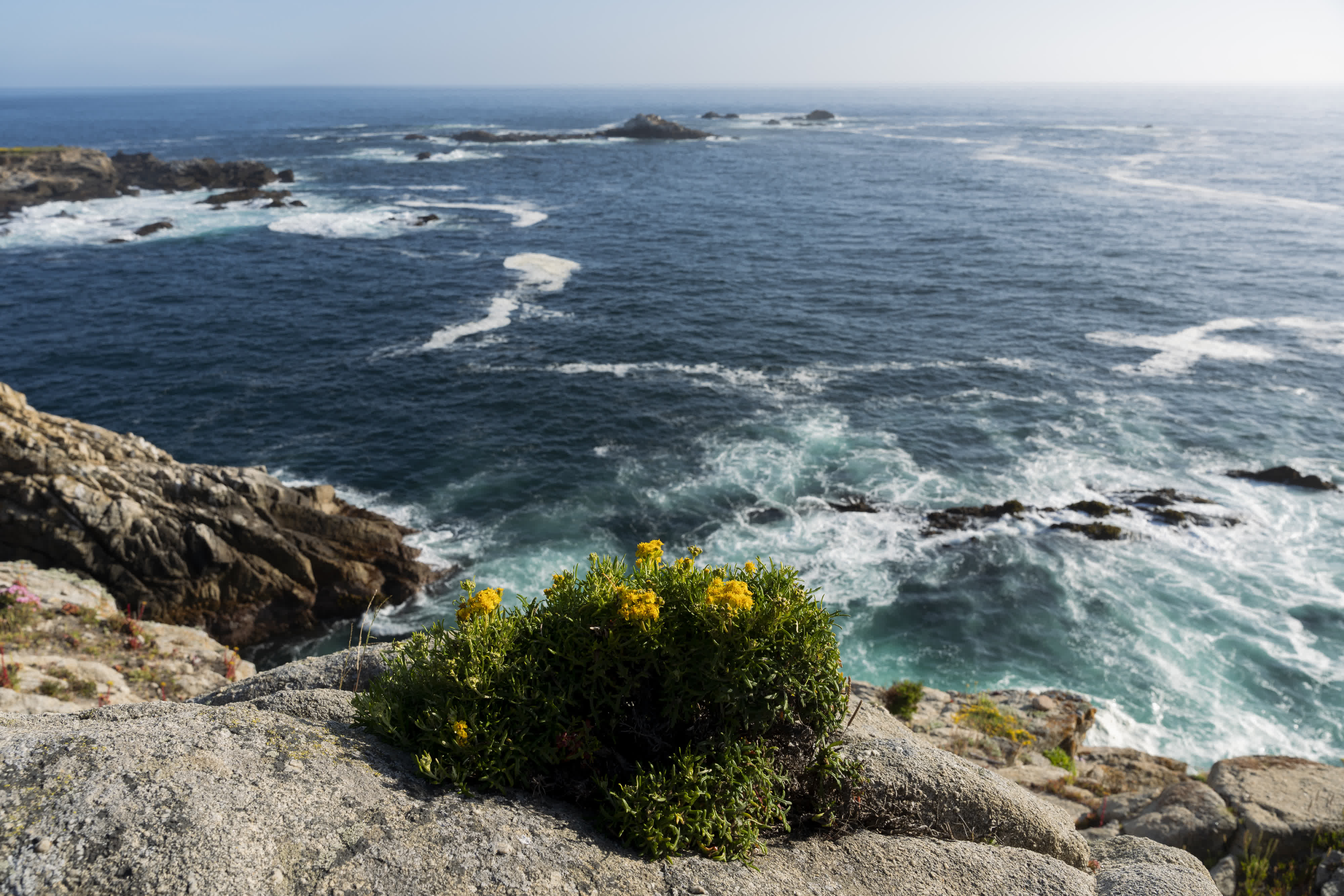 Monterey and US Route 1 photo 11 by Bowen Hou