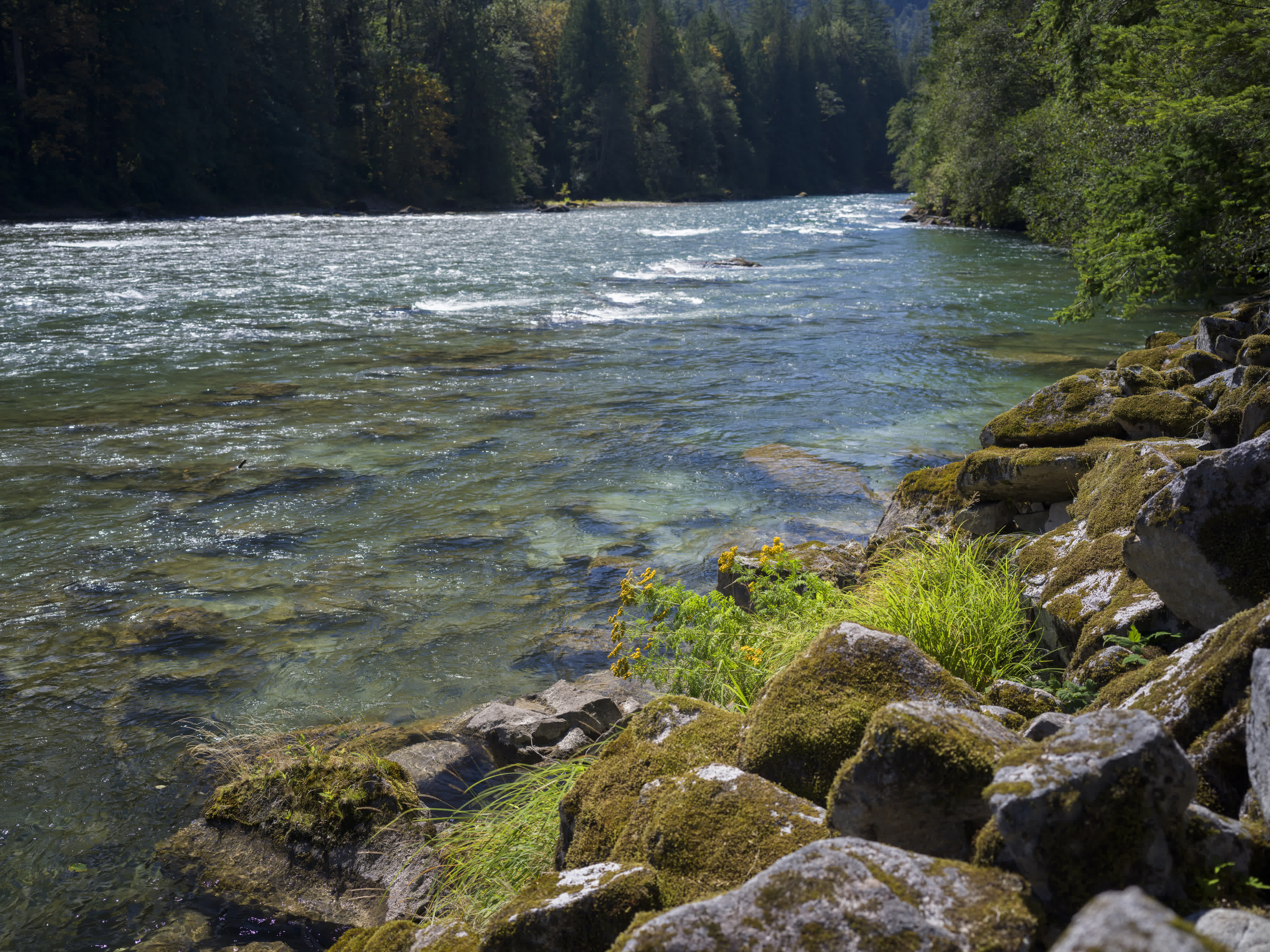 Cascade NP 2024 photo 3 by Bowen Hou
