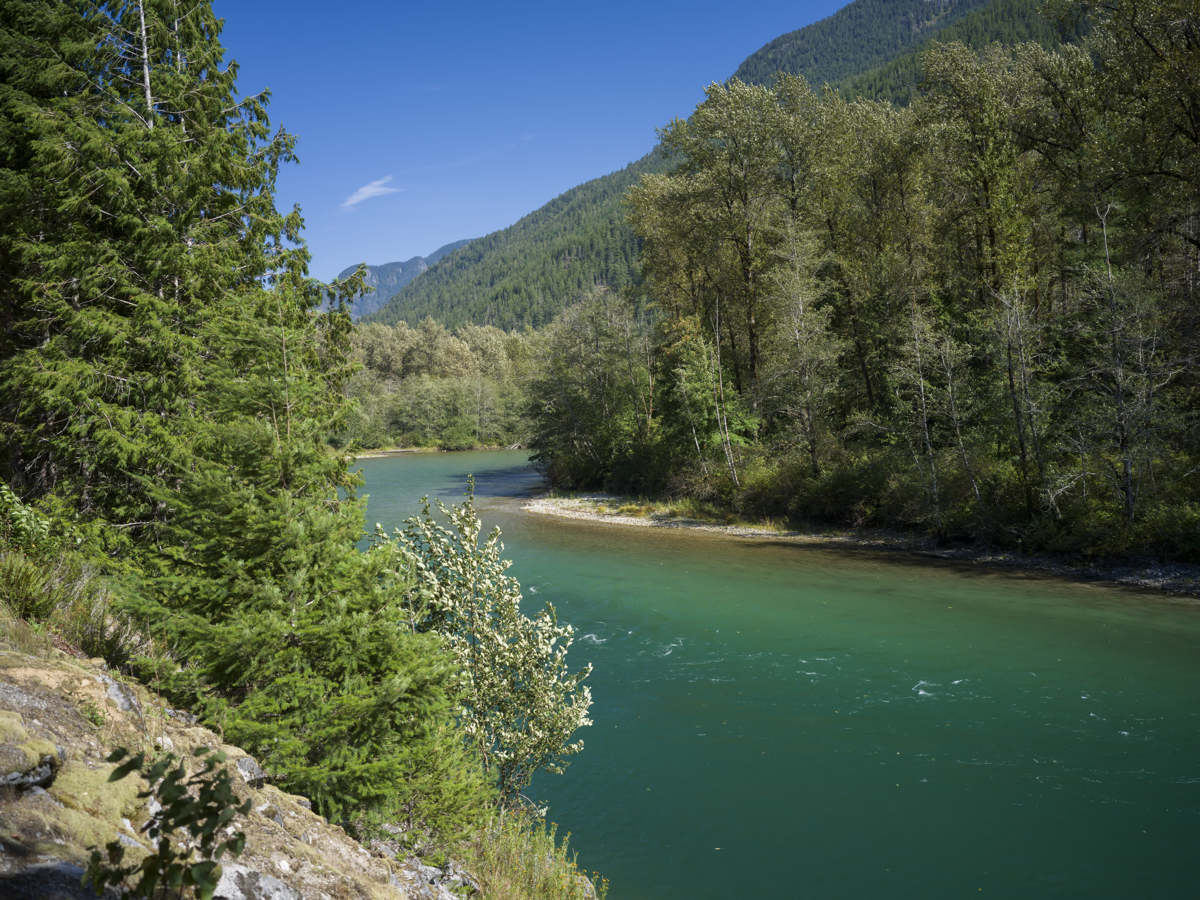 Cascade NP 2024 photo 4 by Bowen Hou