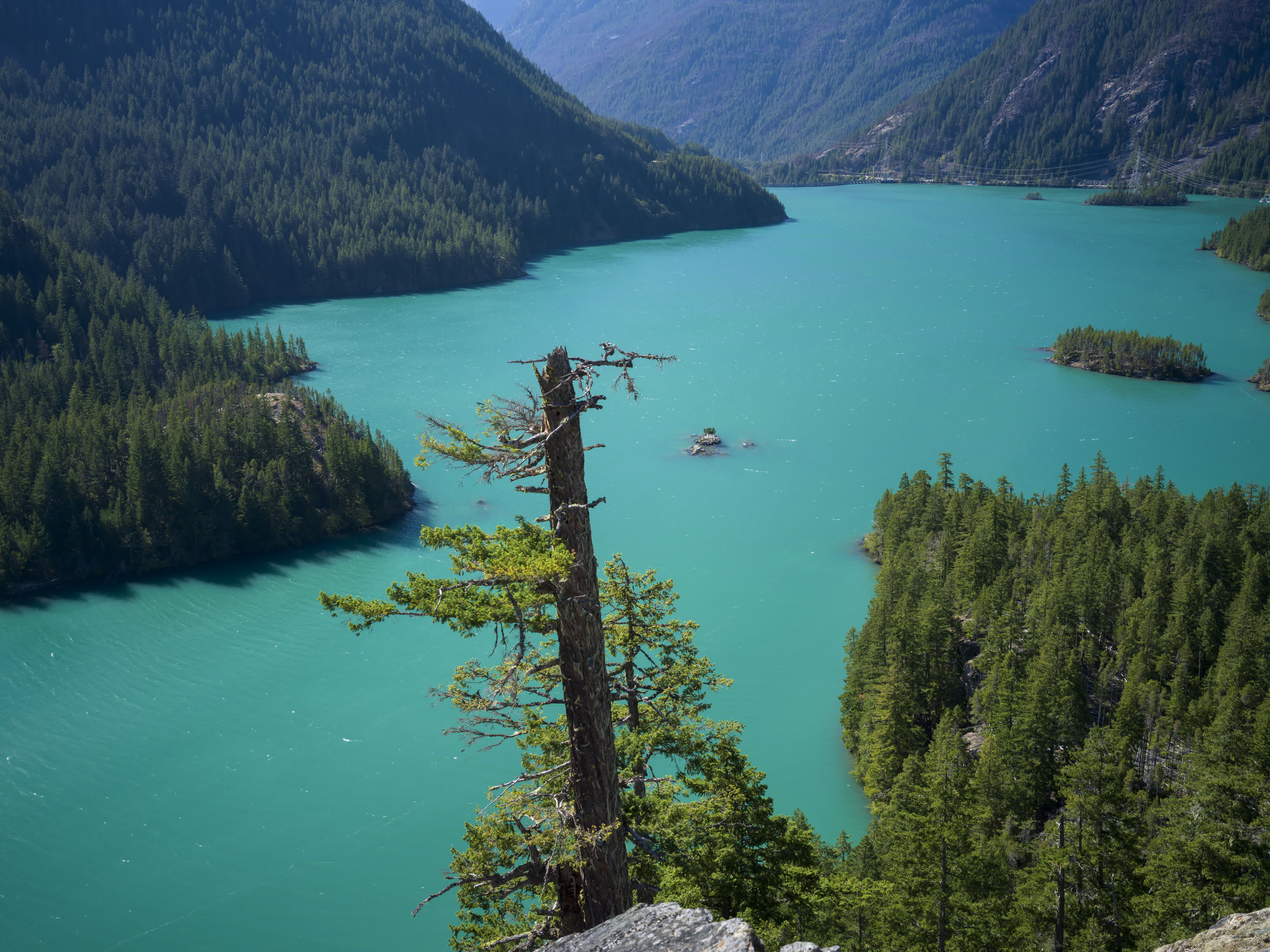 Cascade NP 2024 photo 6 by Bowen Hou