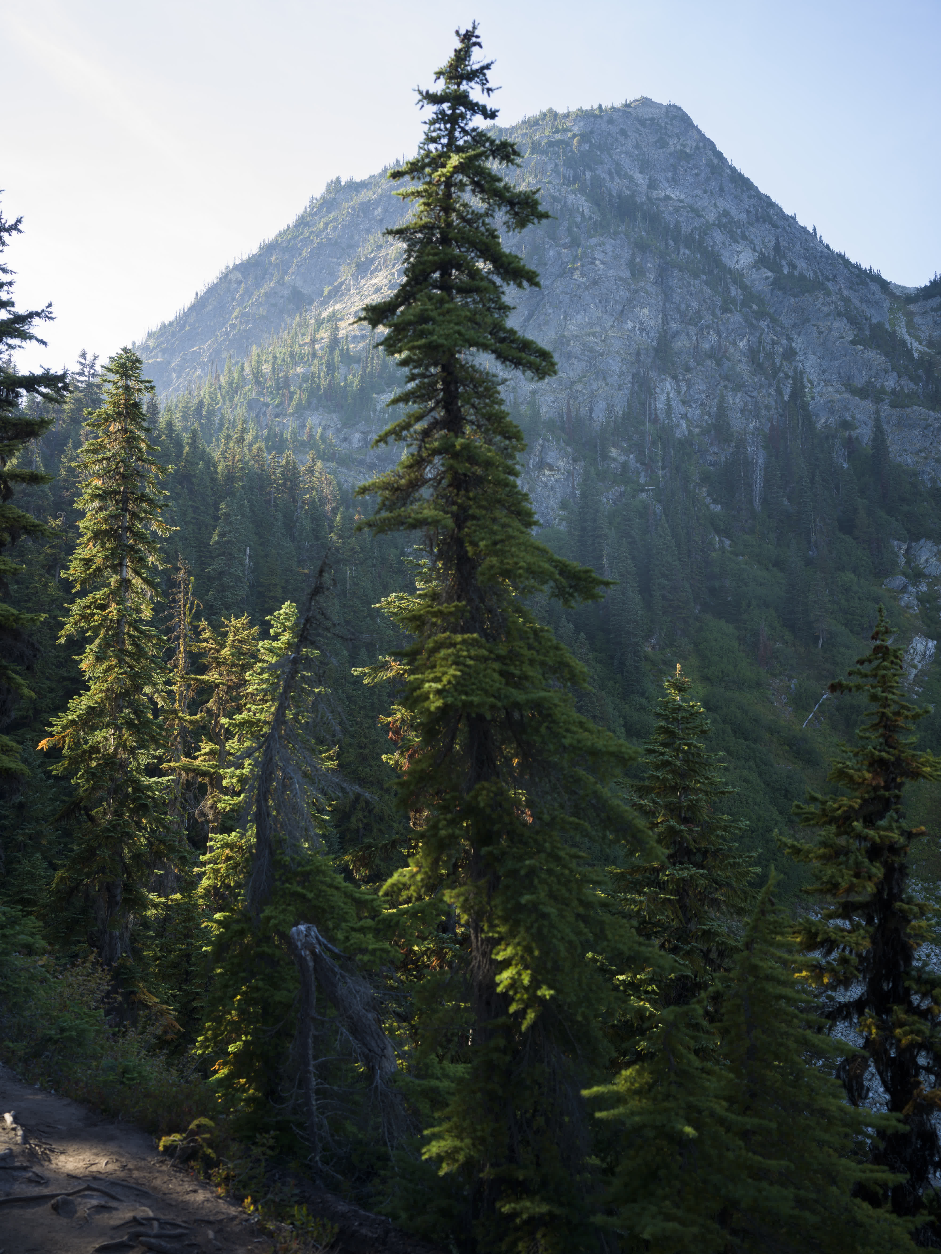 Cascade NP 2024 photo 7 by Bowen Hou