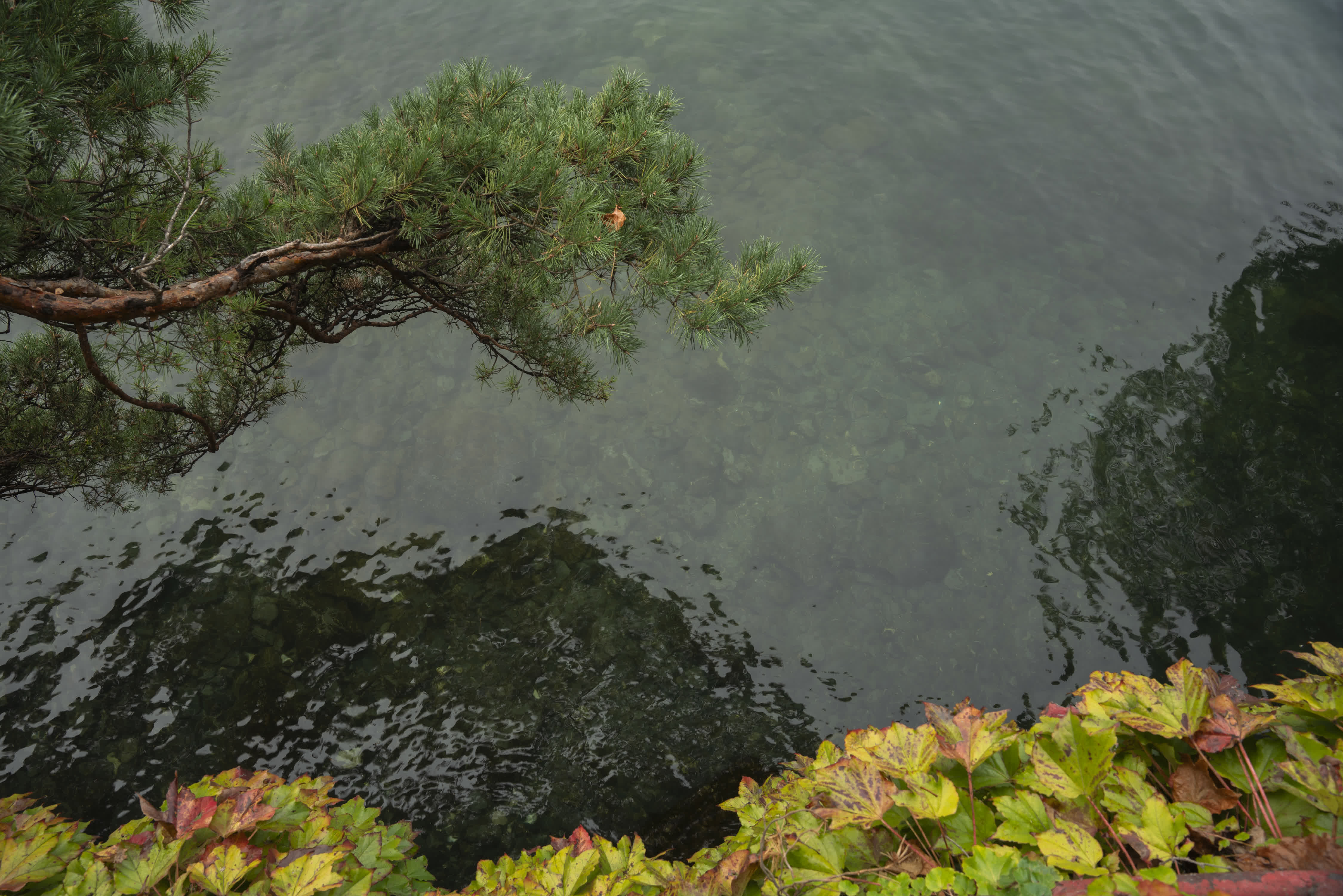 Lake Como photo 13 by Bowen Hou
