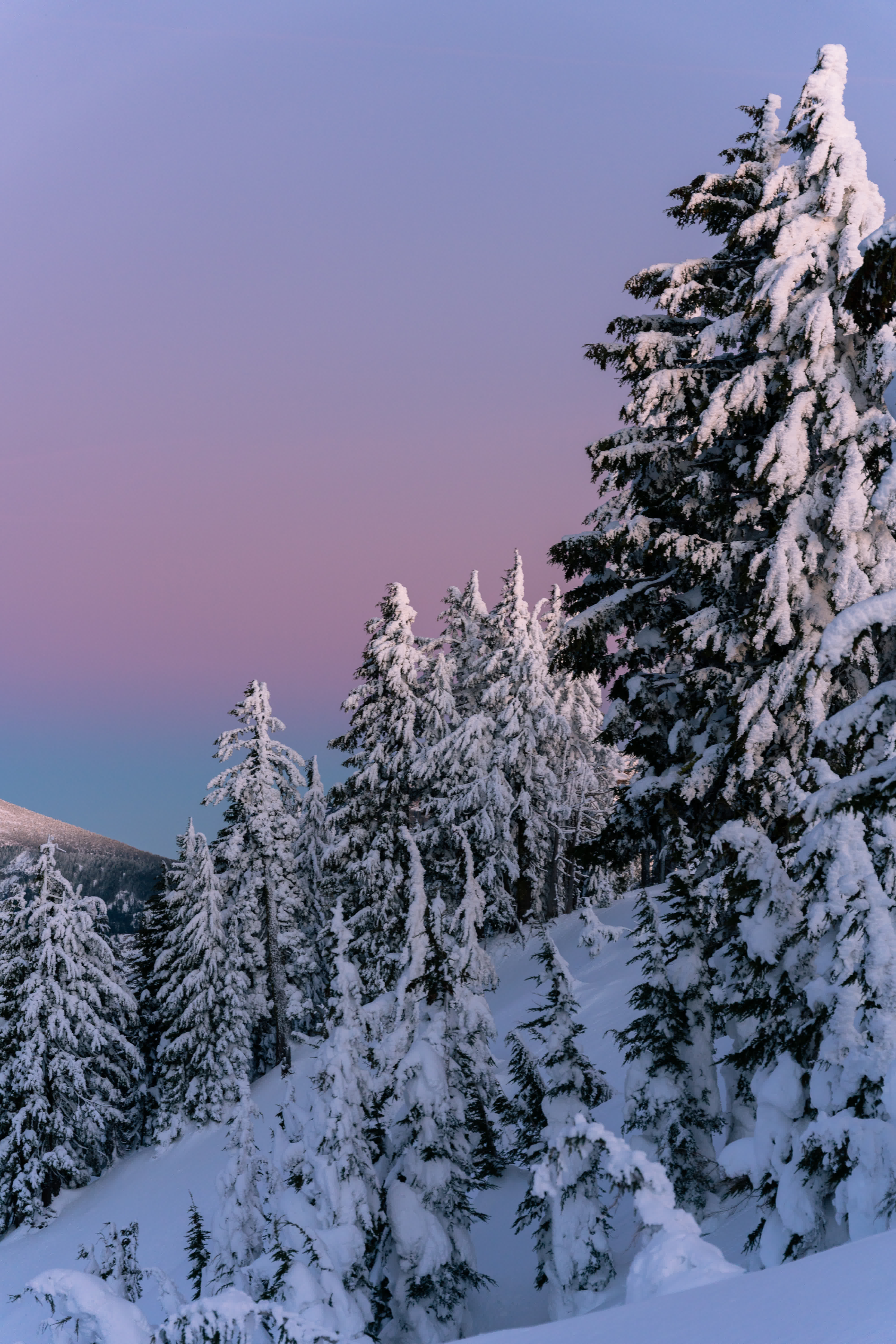 Crater Lake NP 2022 photo 3 by Bowen Hou