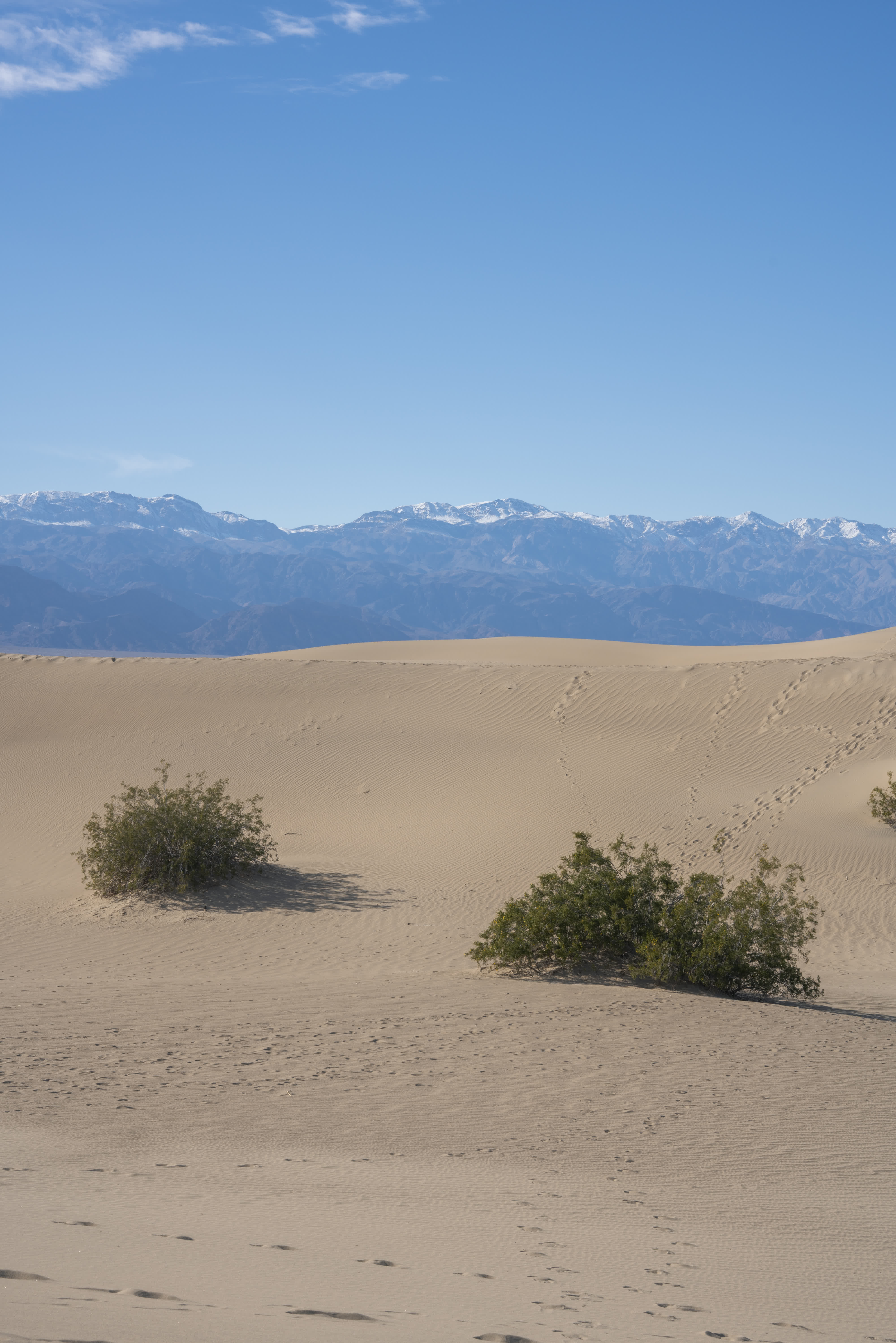 Death Valley NP 2023 photo 2 by Bowen Hou