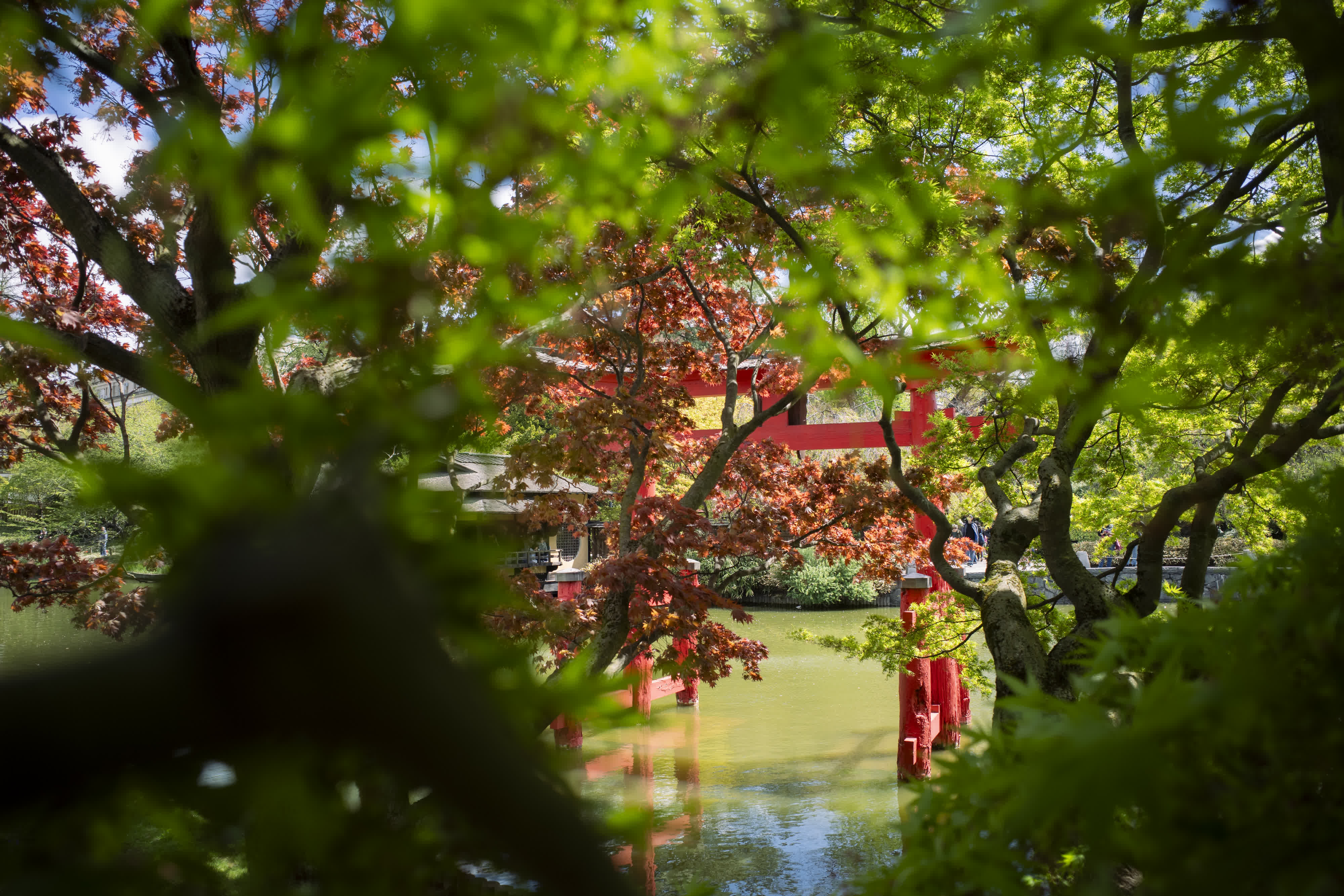 Spring, in general photo 5 by Bowen Hou