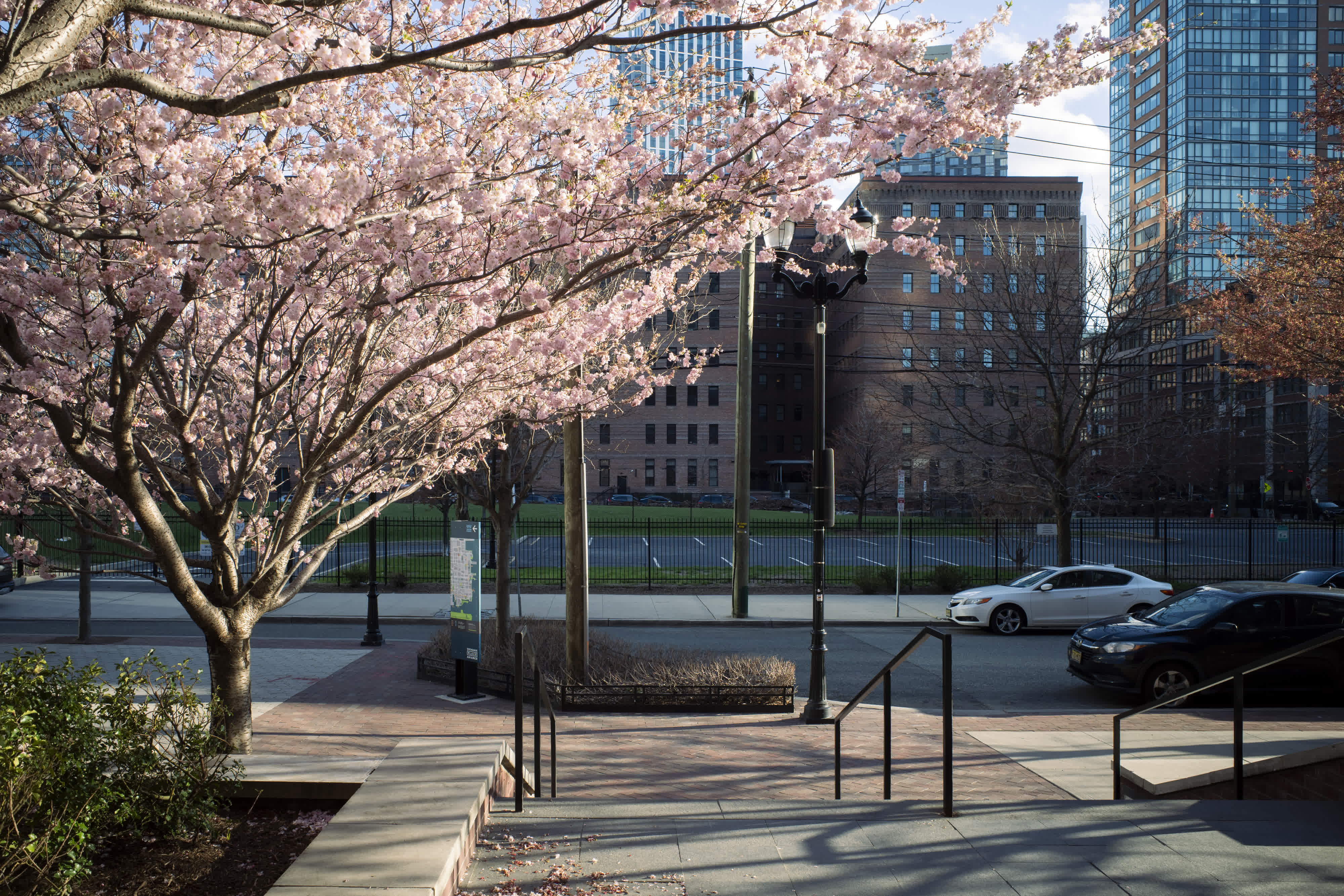 Spring, in general photo 13 by Bowen Hou