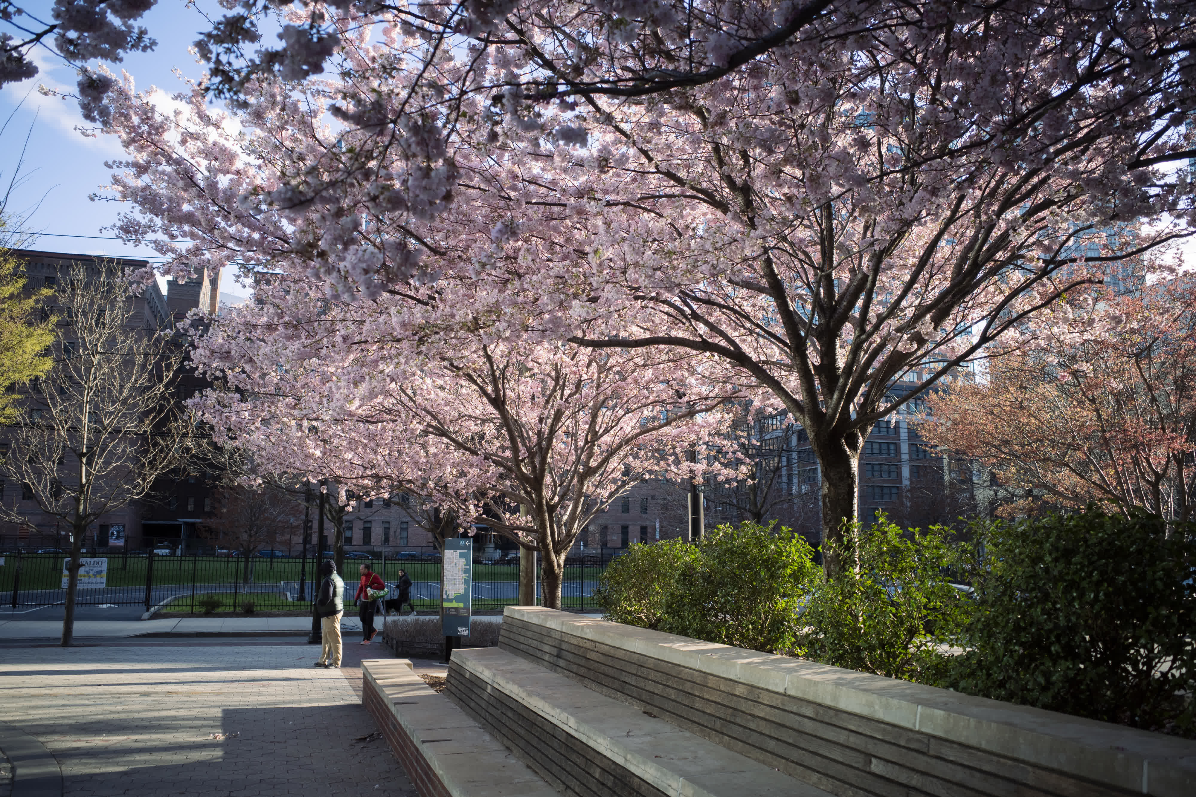 Spring, in general photo 14 by Bowen Hou