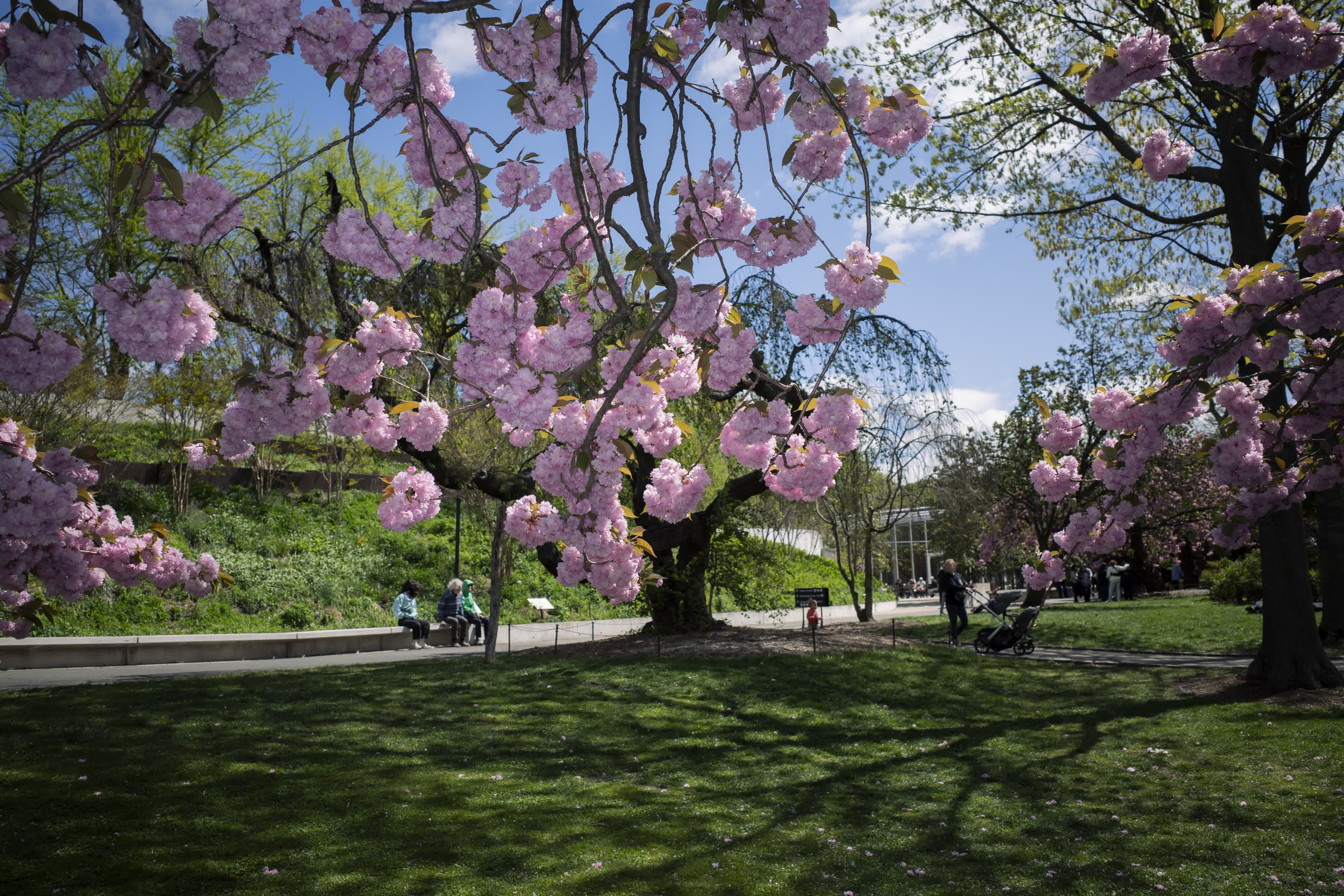Spring, in general photo 19 by Bowen Hou