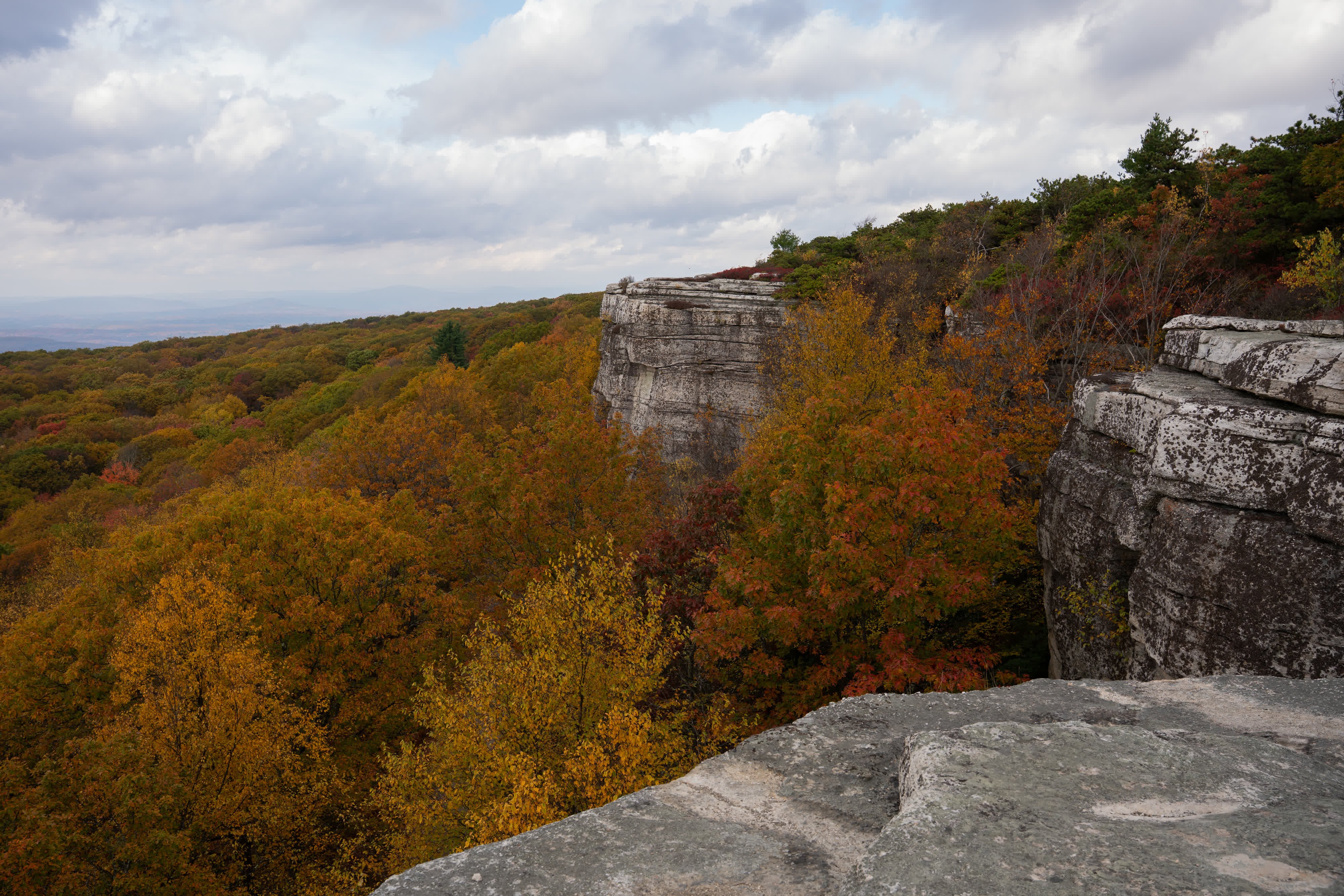 Foliage Report 2025 photo 11 by Bowen Hou