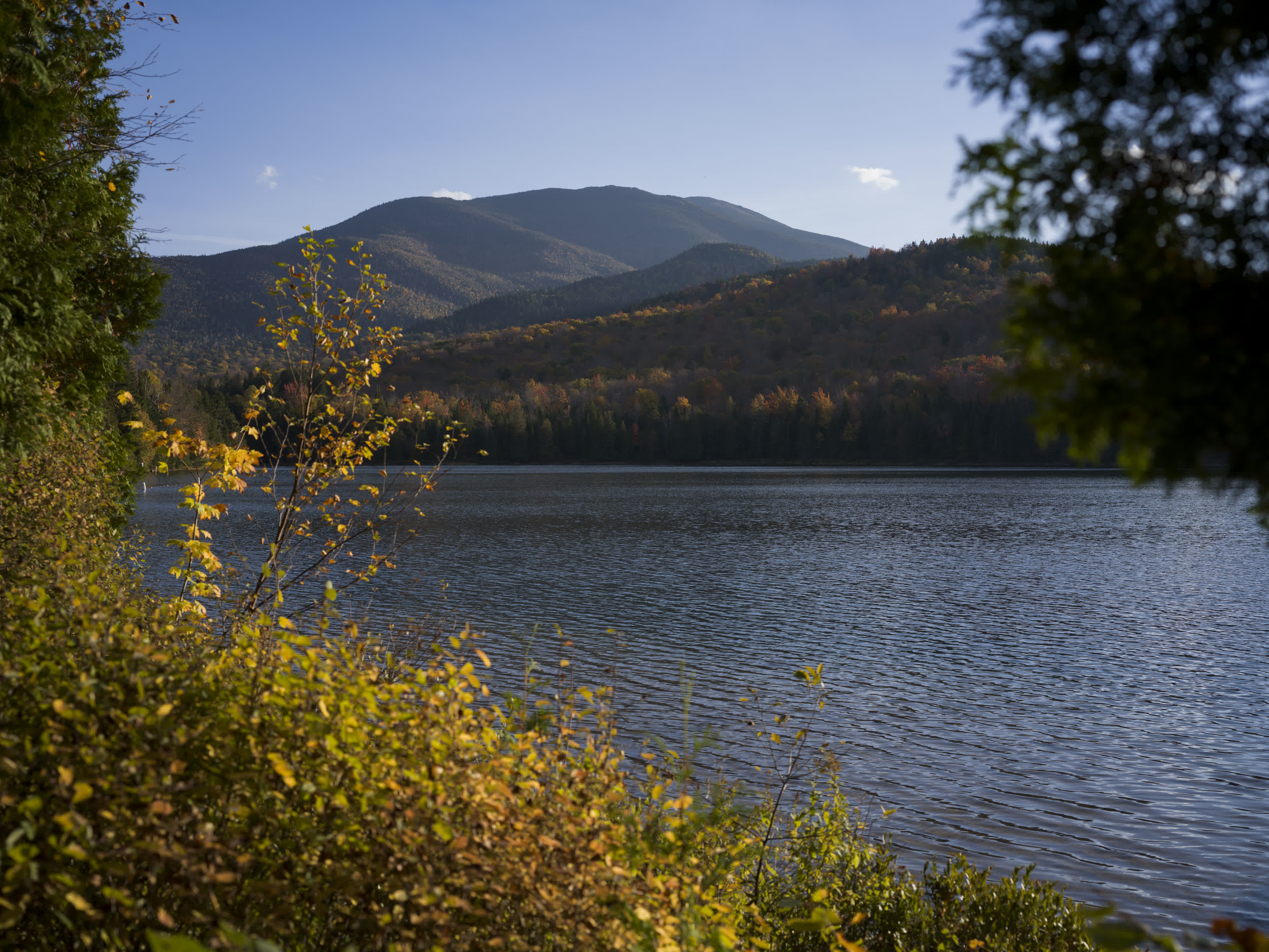 Foliage Report 2025 photo 2 by Bowen Hou