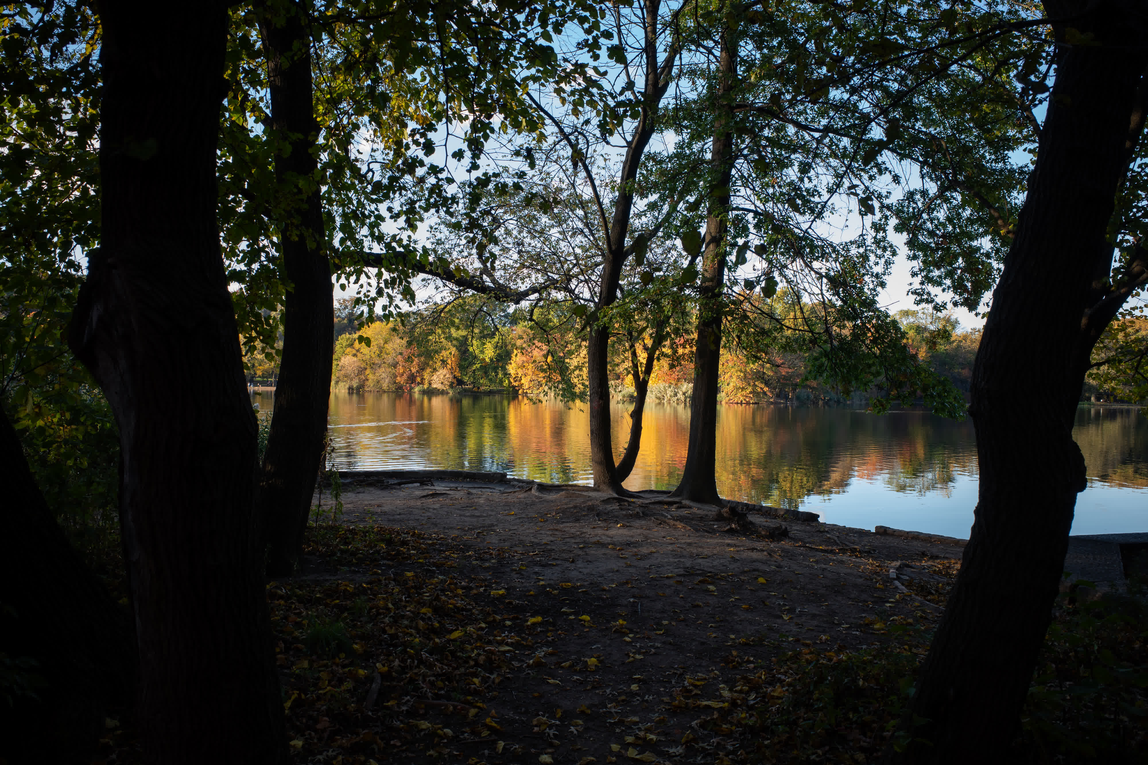 Foliage Report 2025 photo 10 by Bowen Hou