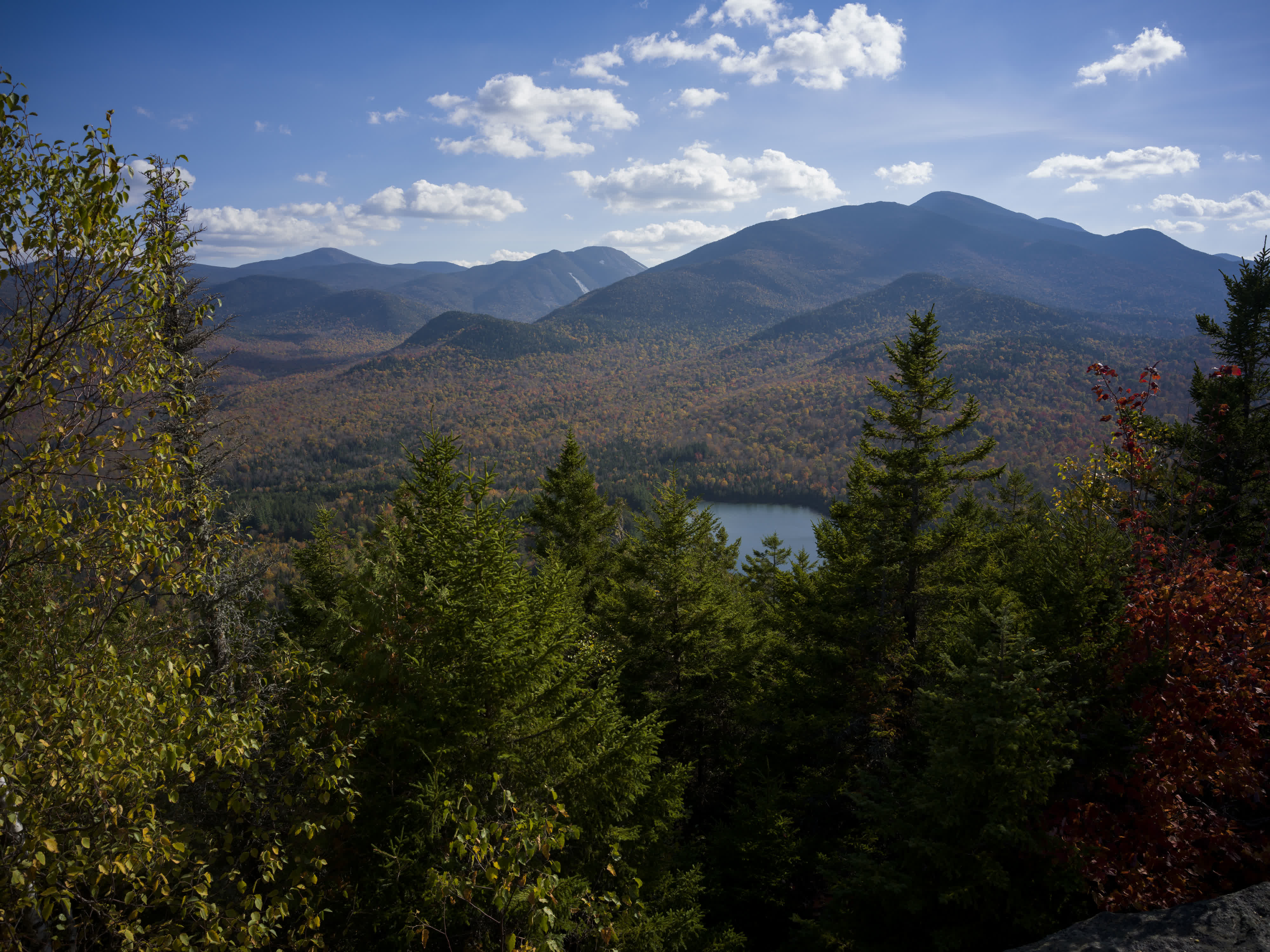 Foliage Report 2025 photo 12 by Bowen Hou