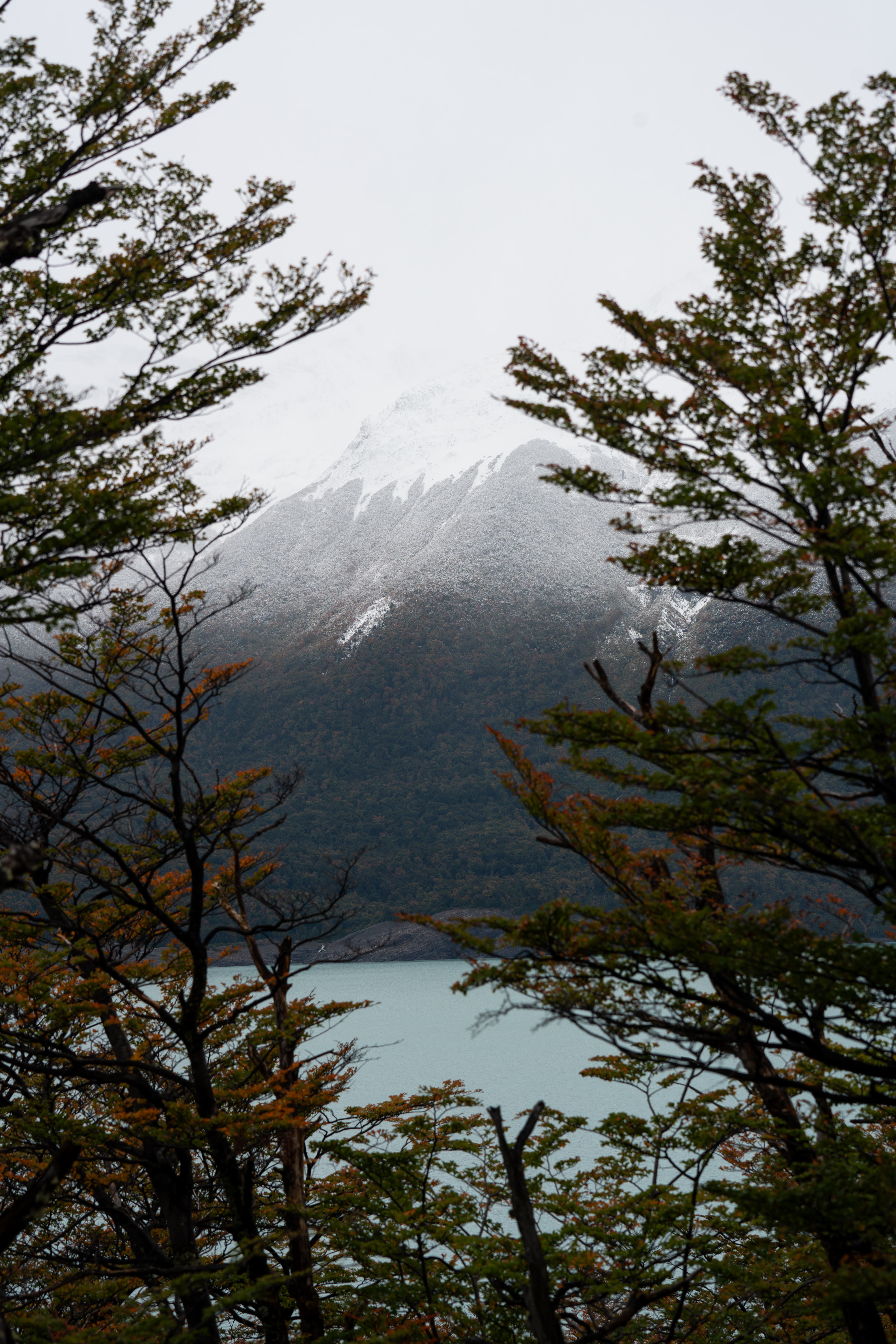 Los Glaciares NP photo 7 by Bowen Hou