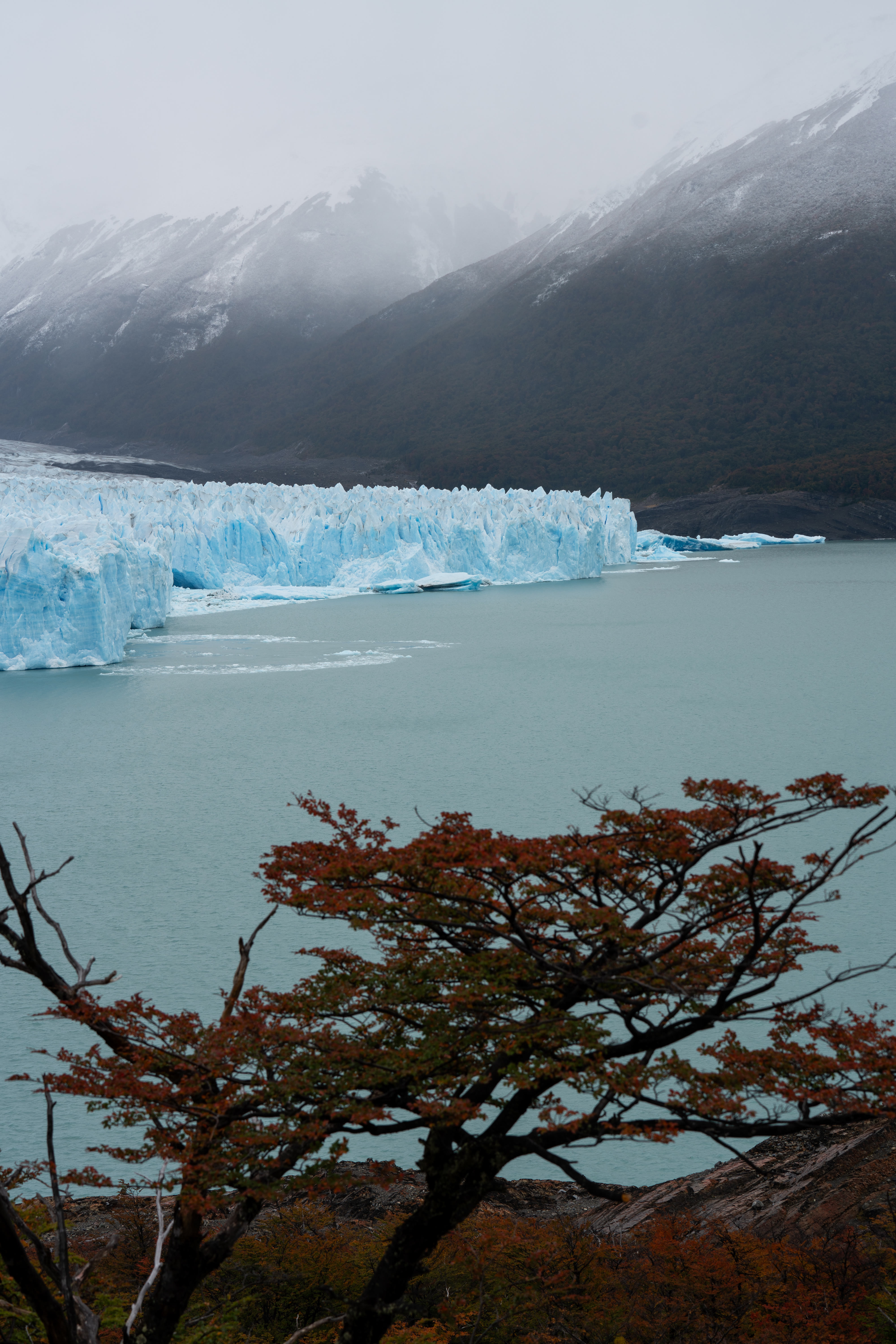 Los Glaciares NP photo 8 by Bowen Hou