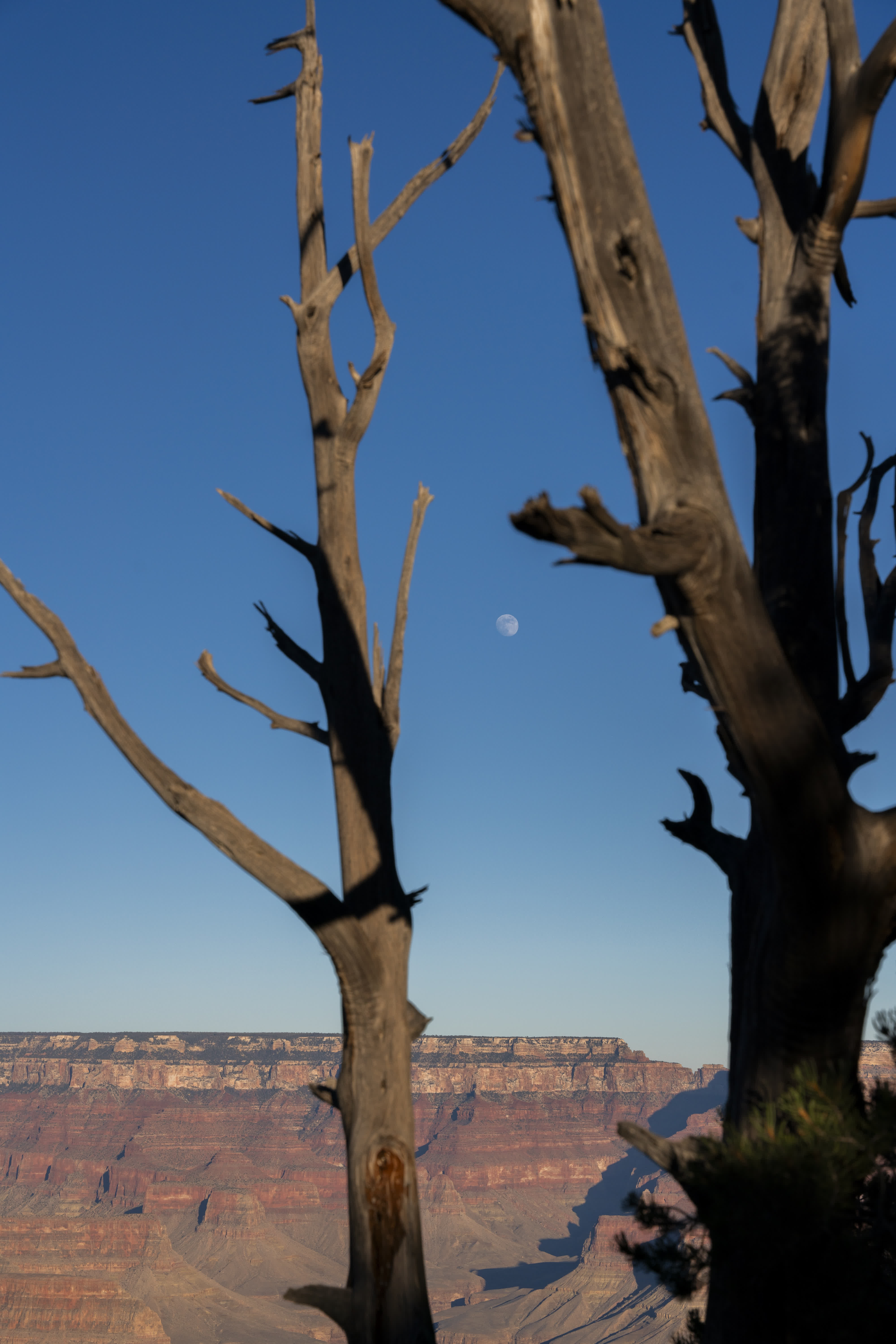 Grand Canyon NP 2023 photo 9 by Bowen Hou