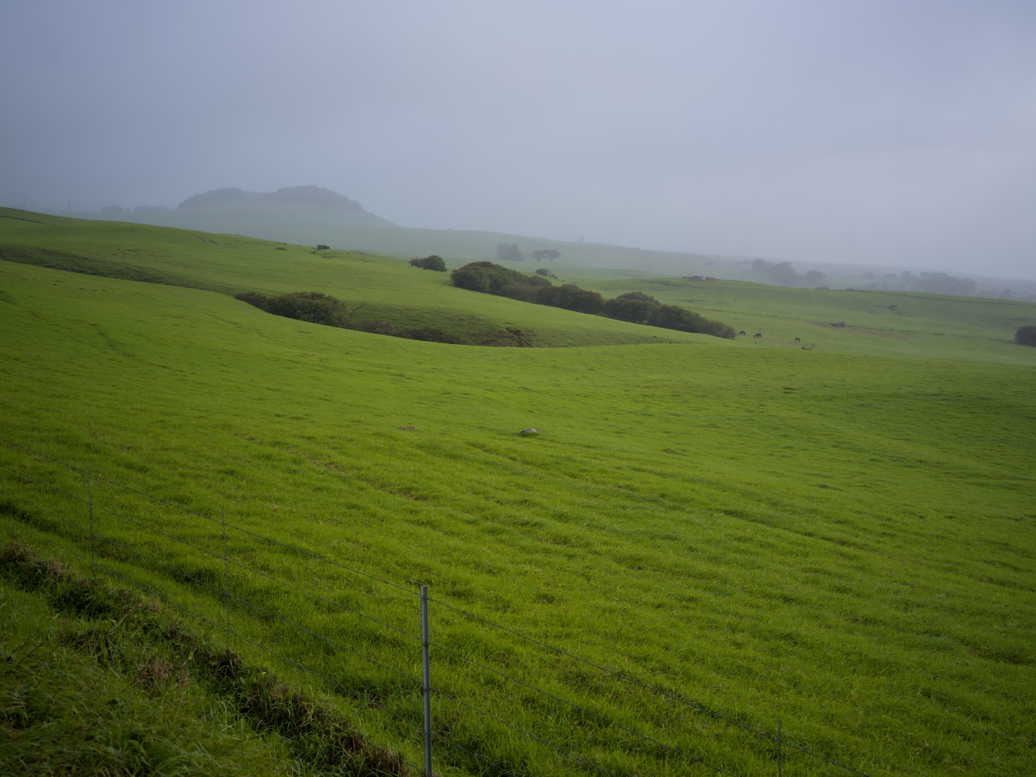 Kauai and Hawaii photo 5 by Bowen Hou