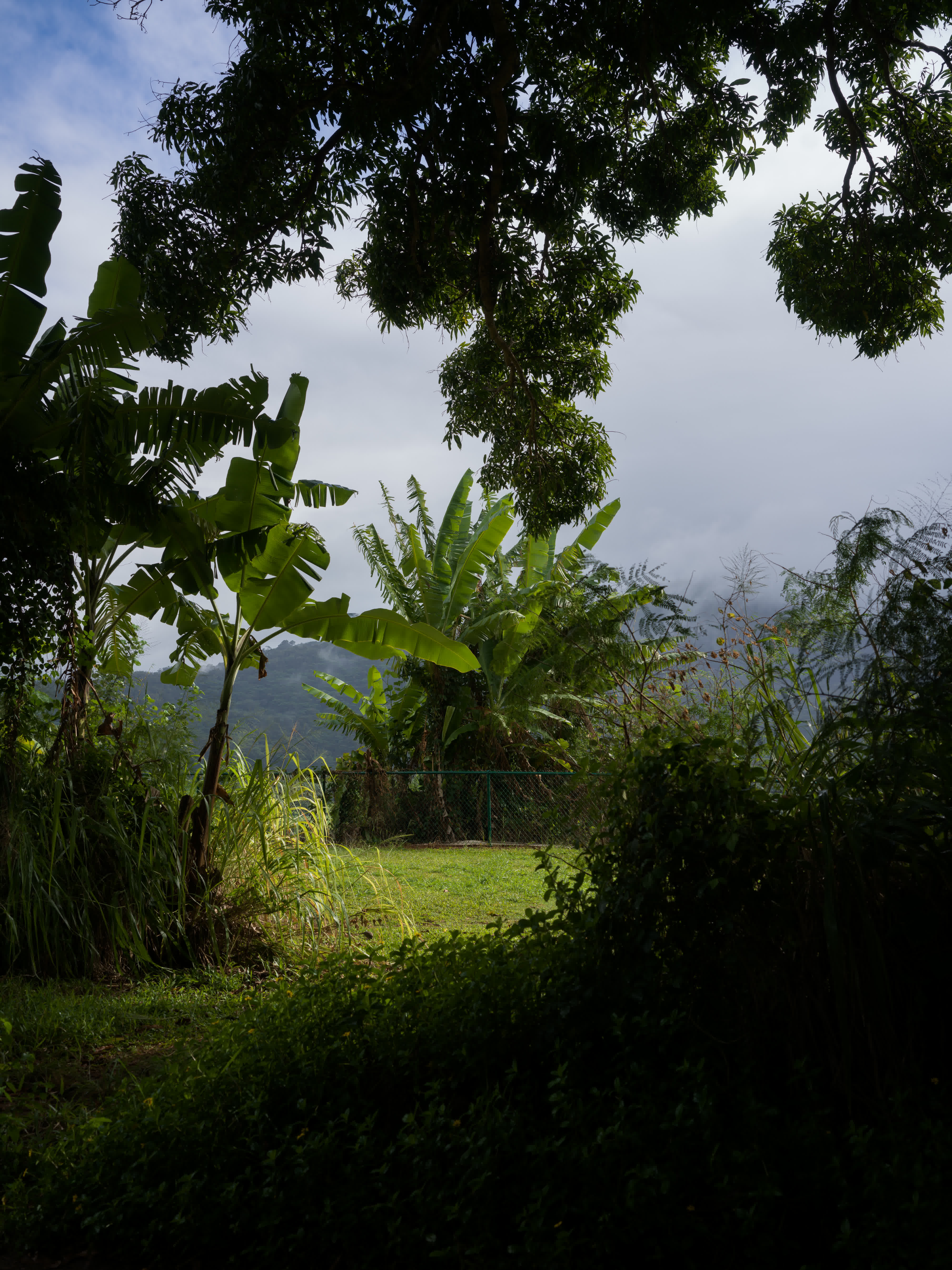 Kauai and Hawaii photo 2 by Bowen Hou