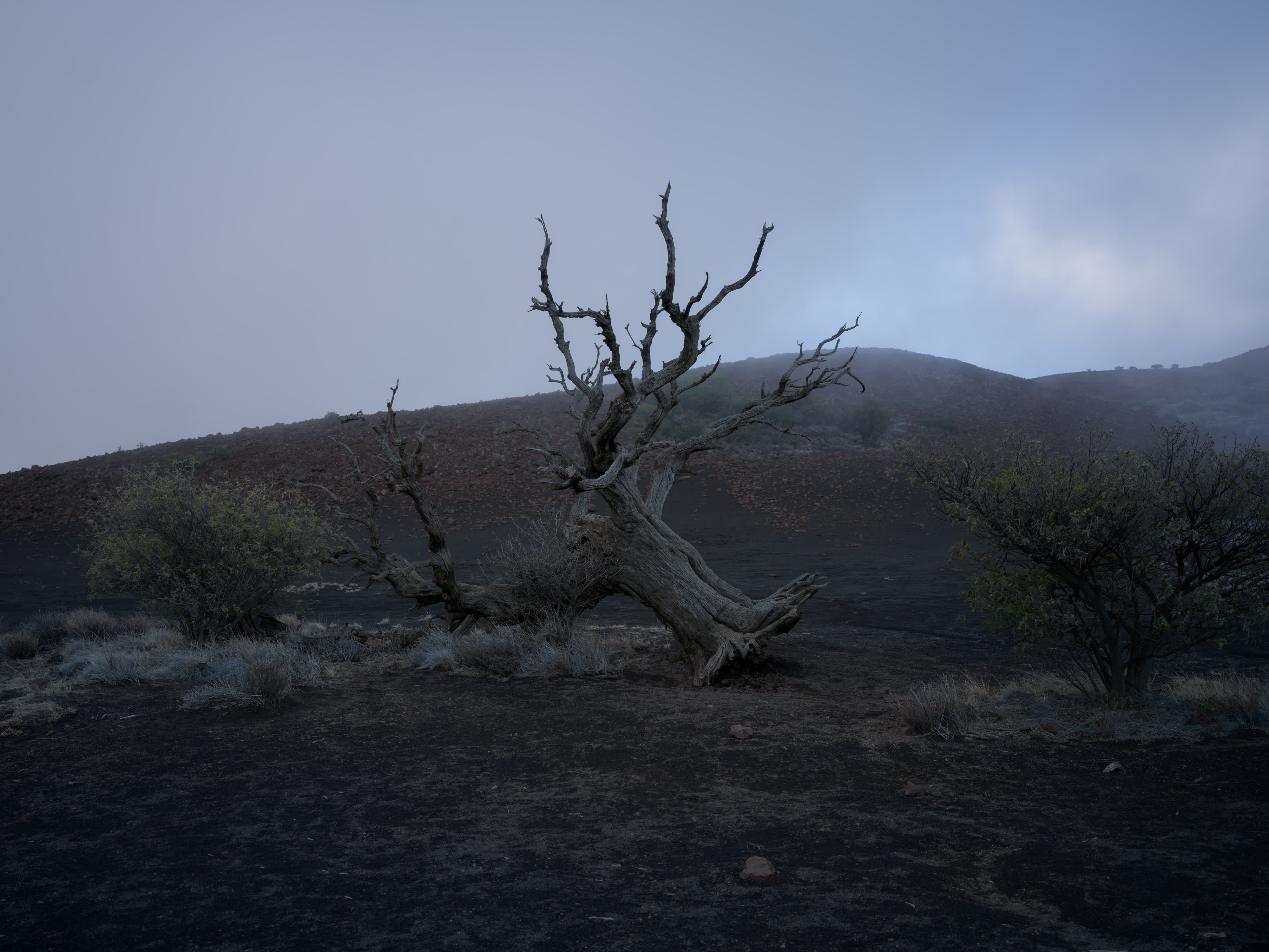 Kauai and Hawaii photo 9 by Bowen Hou