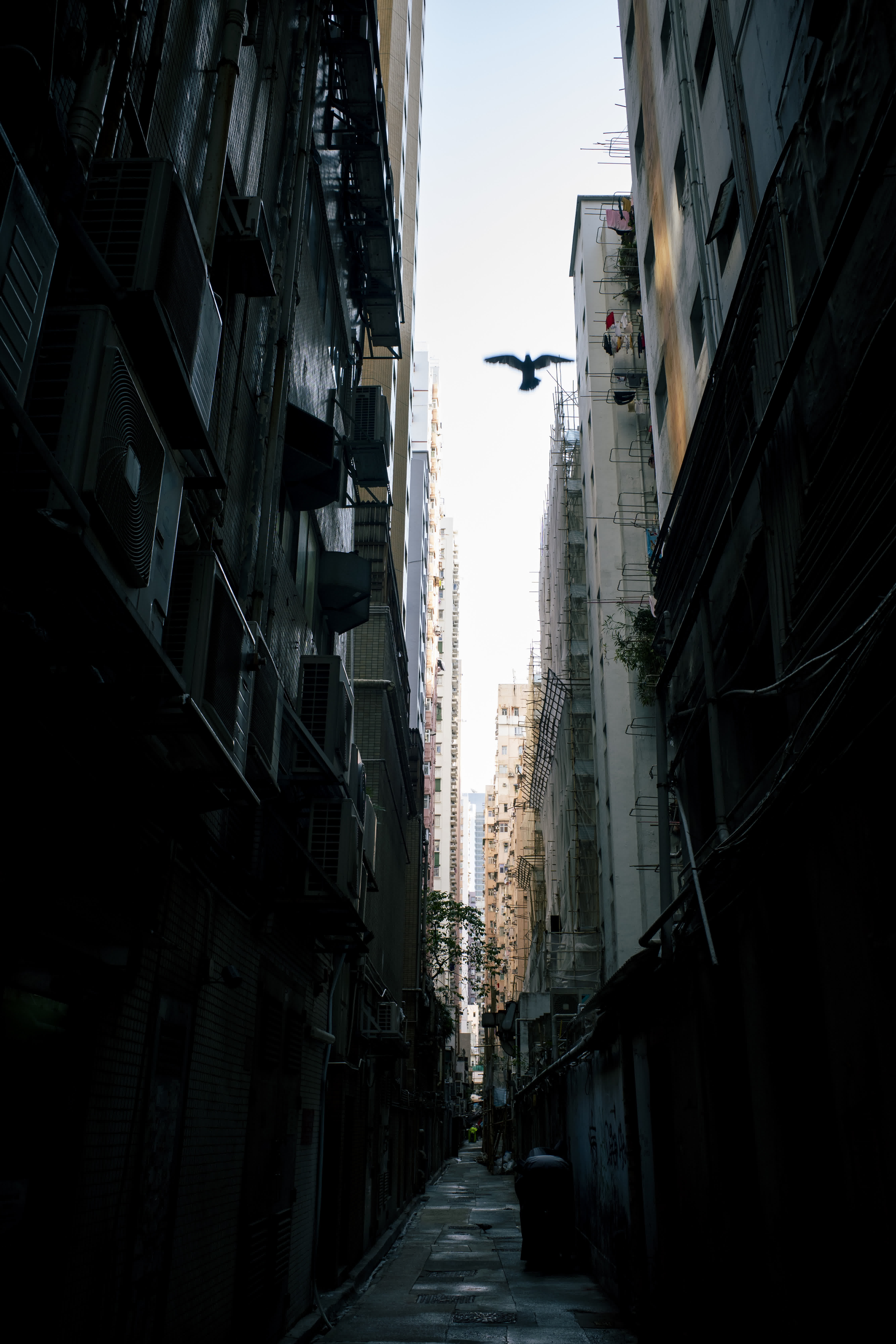 Urbanism of HongKong Pt.1 photo 15 by Bowen Hou