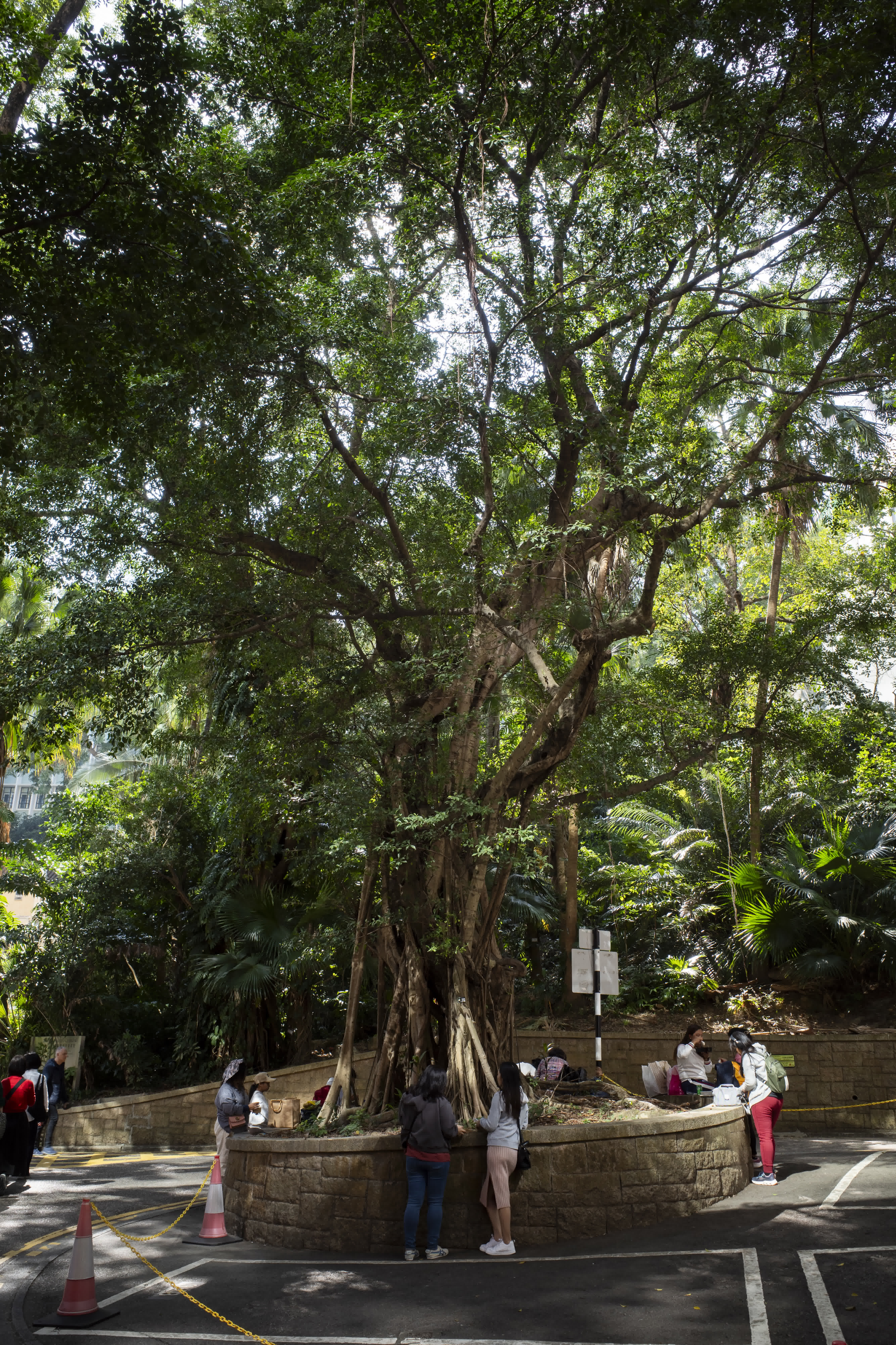Urbanism of Hong Kong Pt.2 photo 6 by Bowen Hou